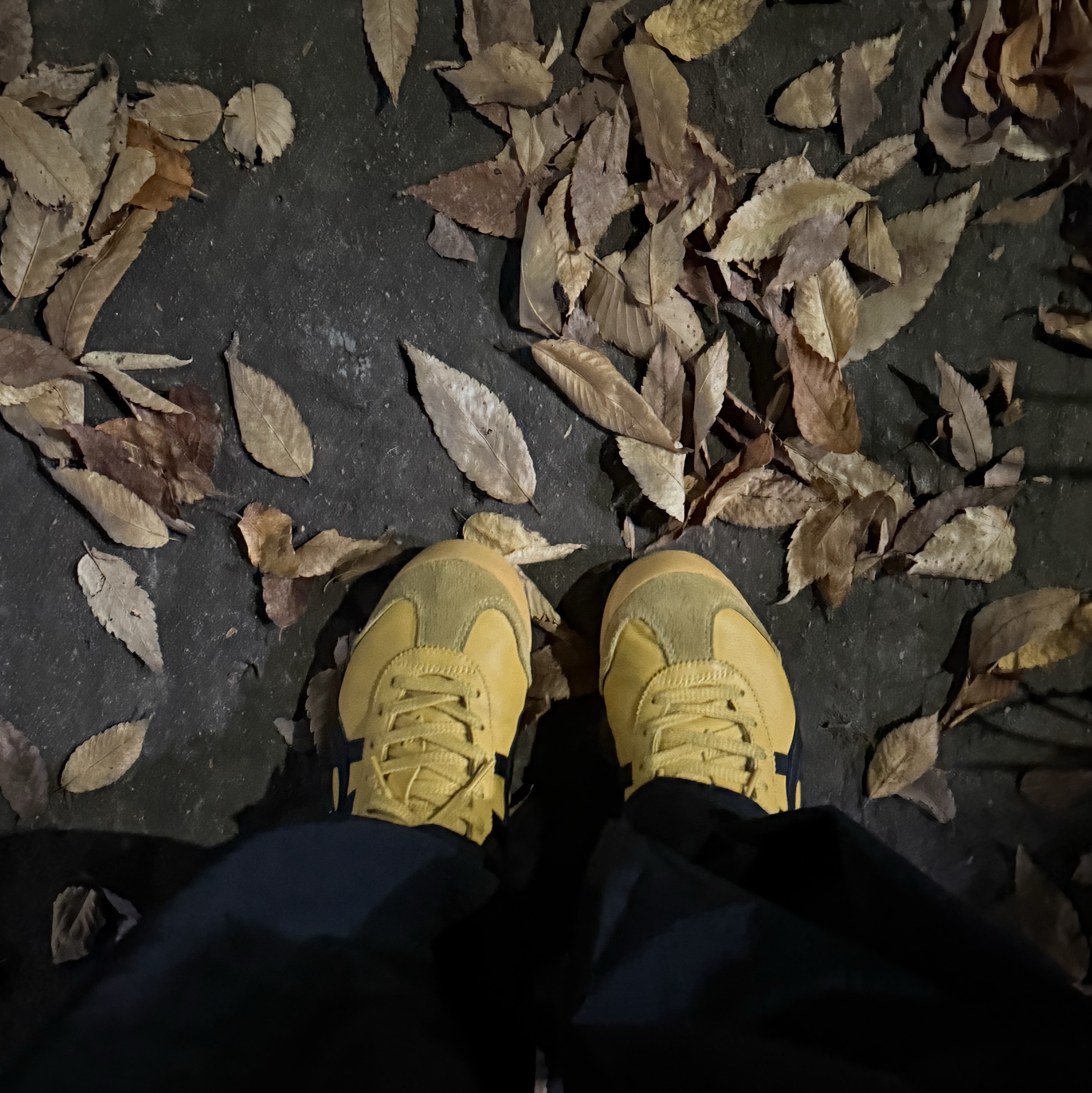 Onitsuka Tiger Mexico 66 Yellow Black 착용 스타일