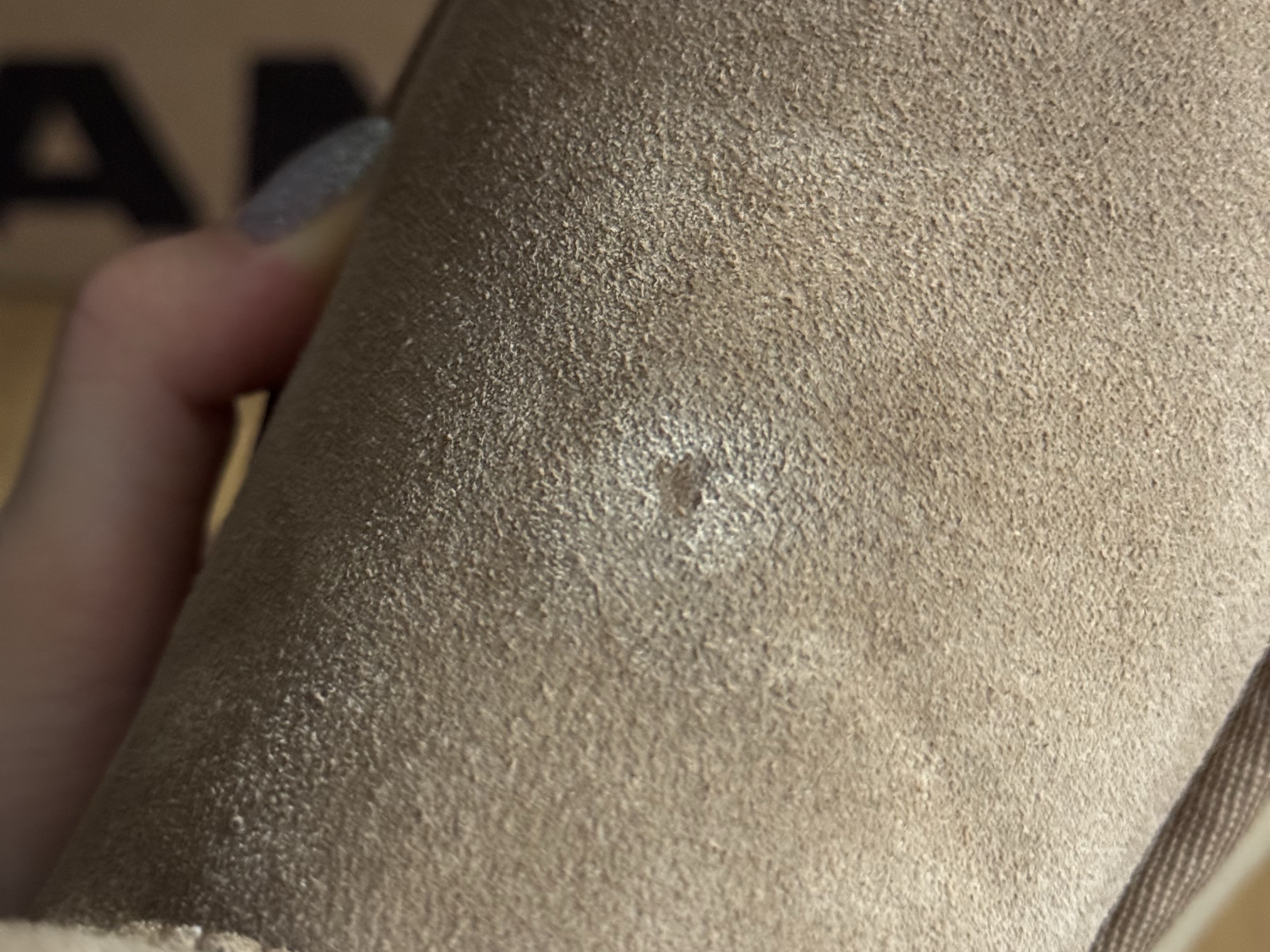 (W) UGG Classic Mini Platform Boots Chestnut 착용 스타일 - 1
