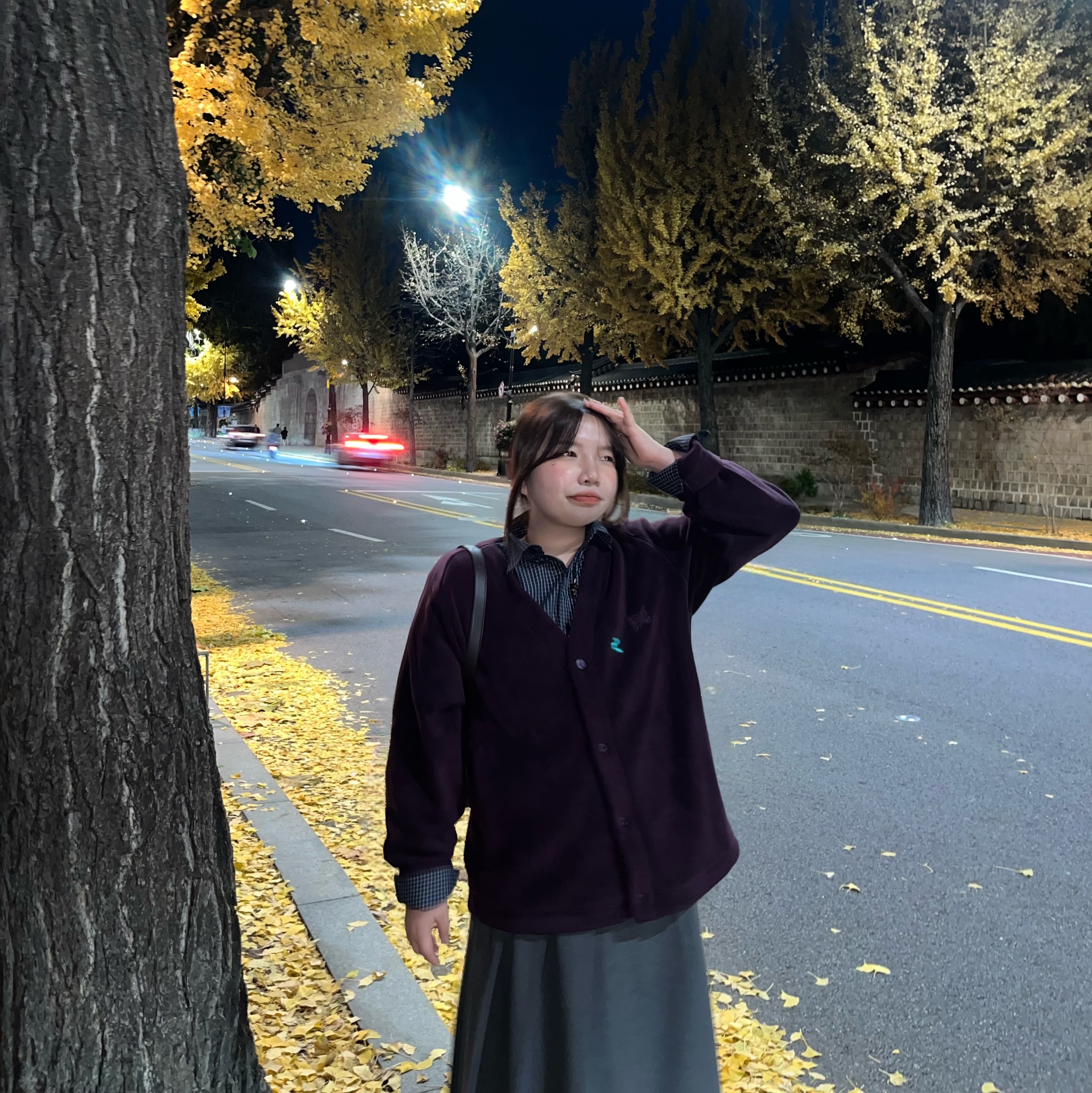 Uniqlo x Needles Fleece Oversized Cardigan Purple - KR, Matin Kim Side Zipper Fabric Shoulder Bag Brown 착용 스타일