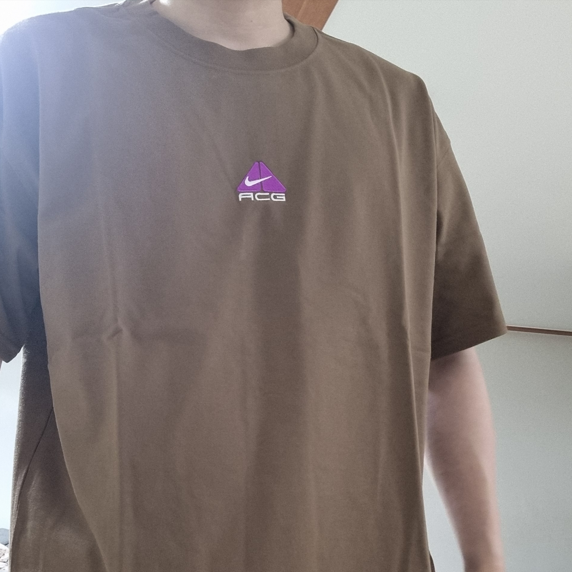 Nike ACG LBR Lungs T-Shirt Mosswood Brown - Asia 착용 스타일