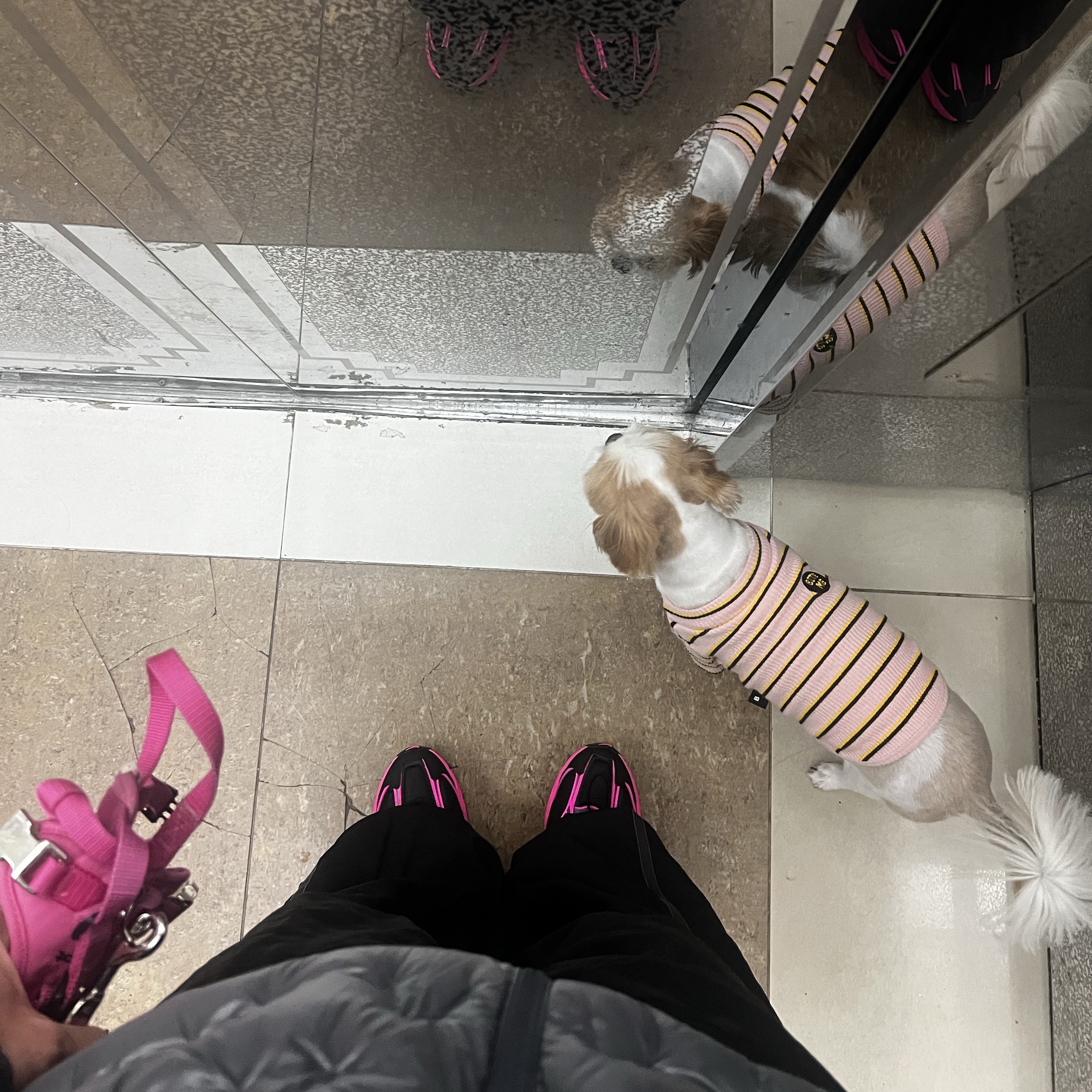 Nike Air Pegasus Wave Black Pink Blast, SIERRA DESIGNS Halfdome Lightweight Goose Down Hooded Jacket Grey 착용 스타일