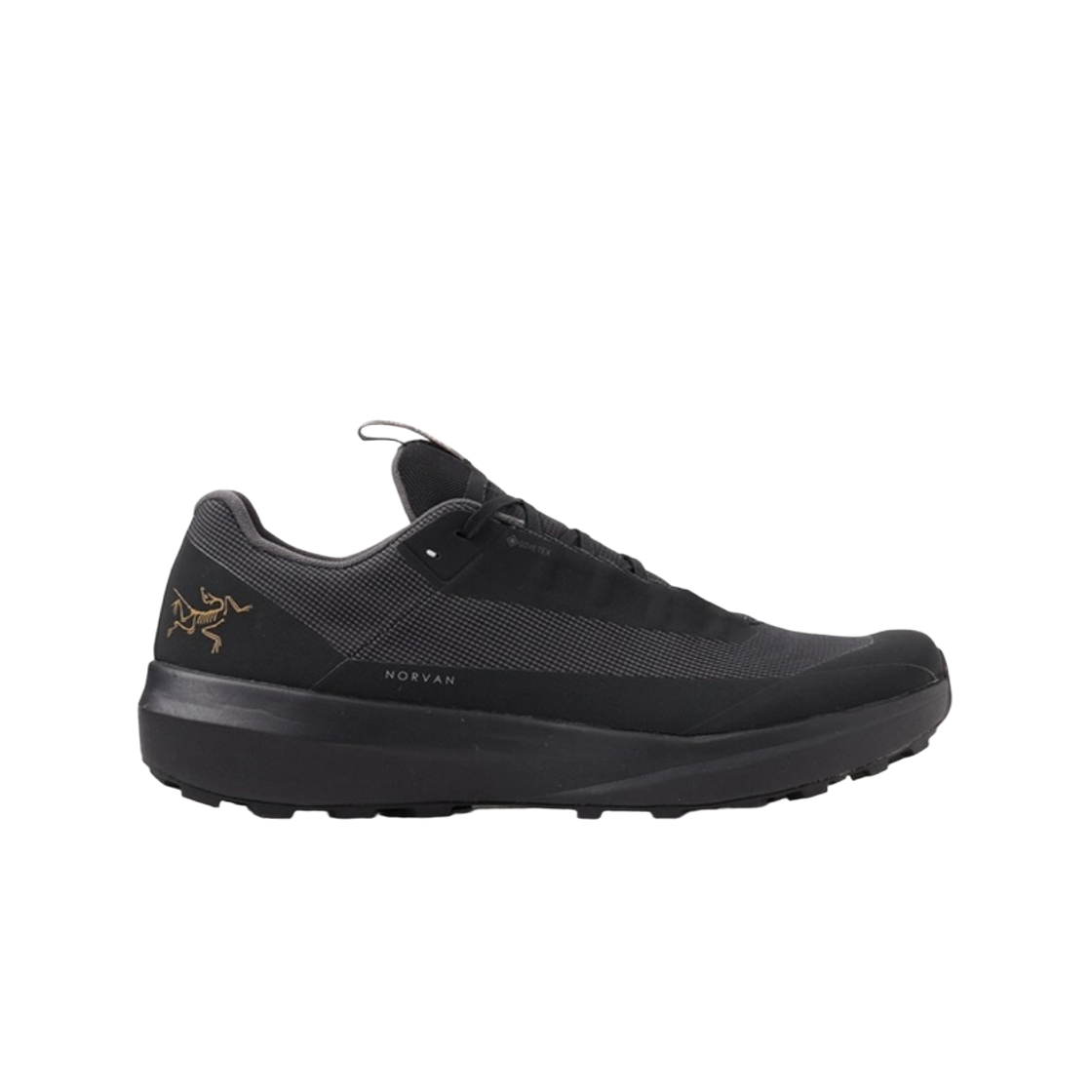 아크테릭스 노반 LD 4 고어텍스 블랙(Arc'teryx Norvan LD 4 GTX Black)