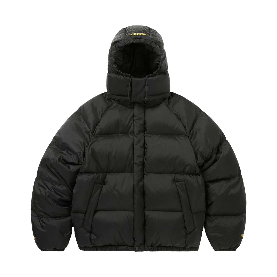 디스이즈네버댓 x 고어텍스 윈드스토퍼 푸퍼 다운 자켓 블랙(thisisneverthat x Gore-Tex Windstopper Puffer Down Jacket Black)