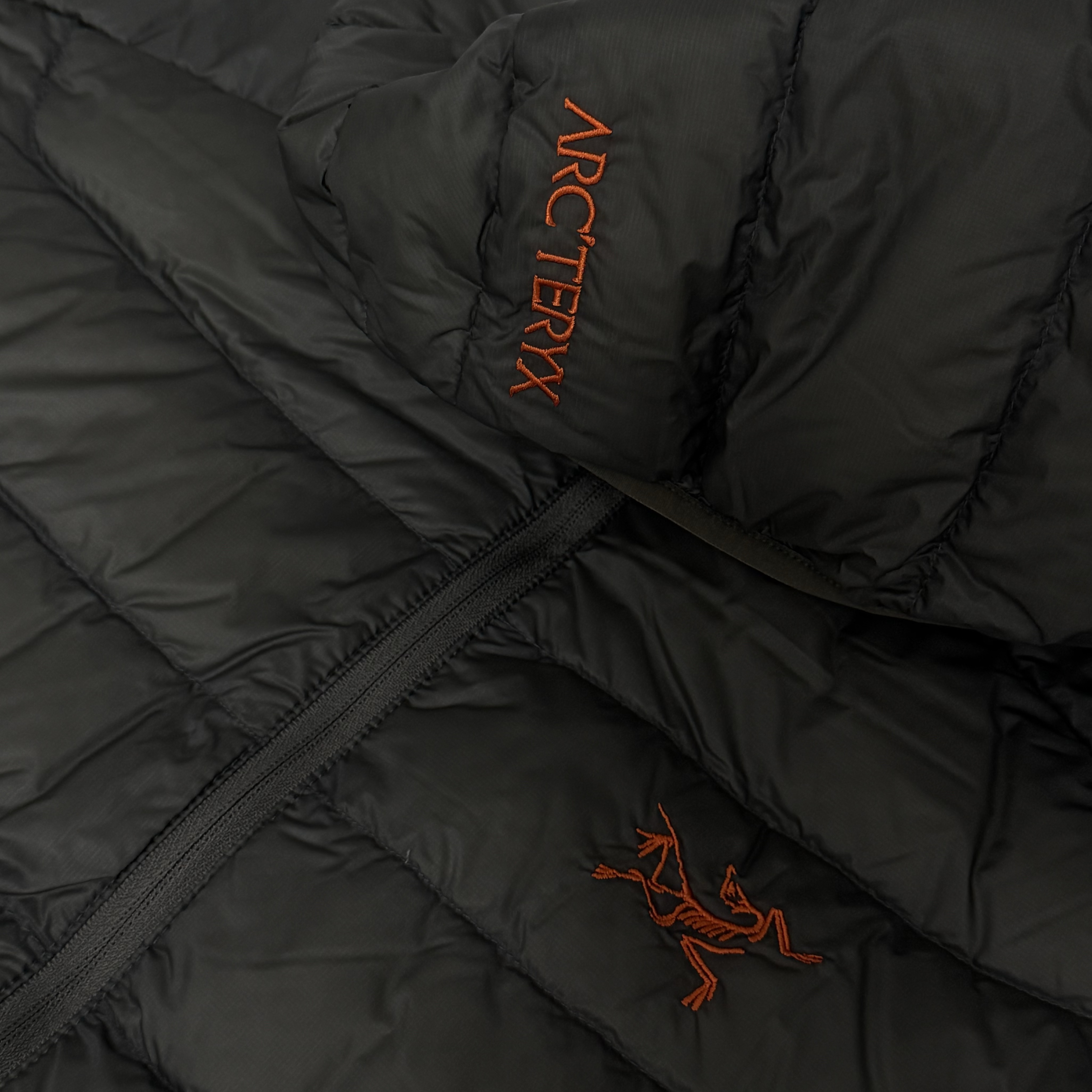 Arc'teryx Cerium Hoody Forage Verve 착용 스타일