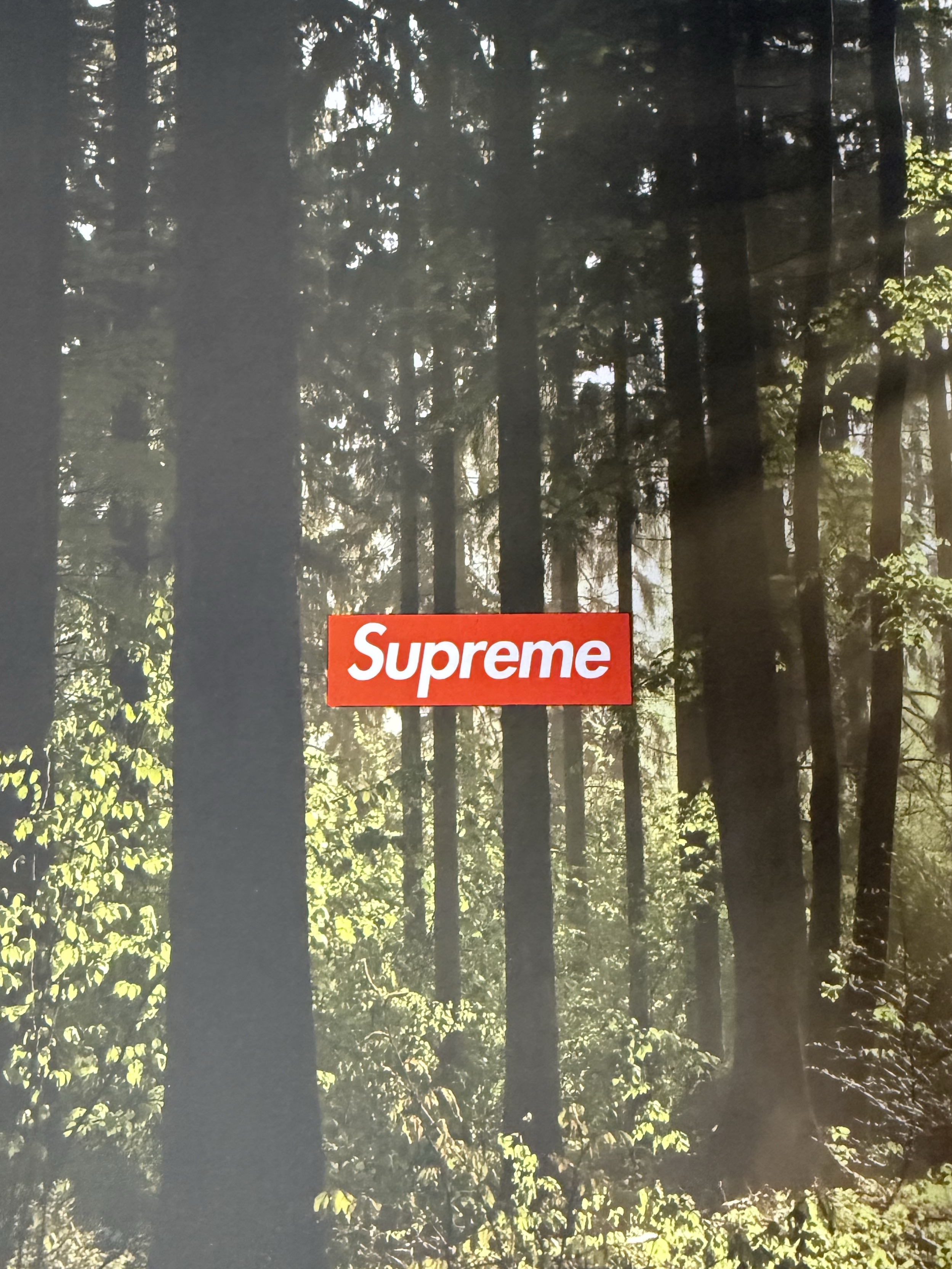 ์์
์ด๋ฏธ์ง