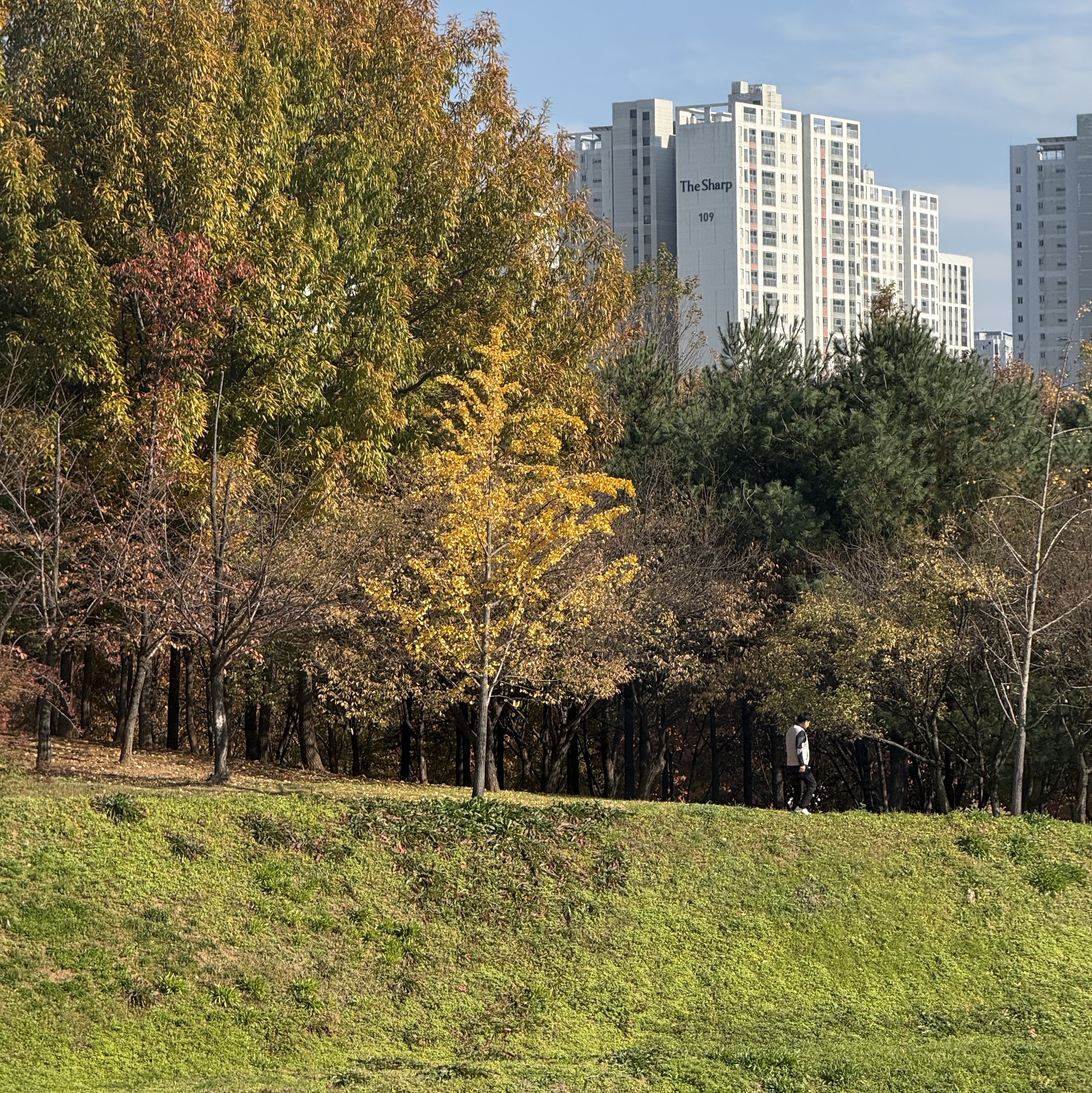 Arc'teryx Beta LT Jacket Tatsu 착용 스타일 - 4