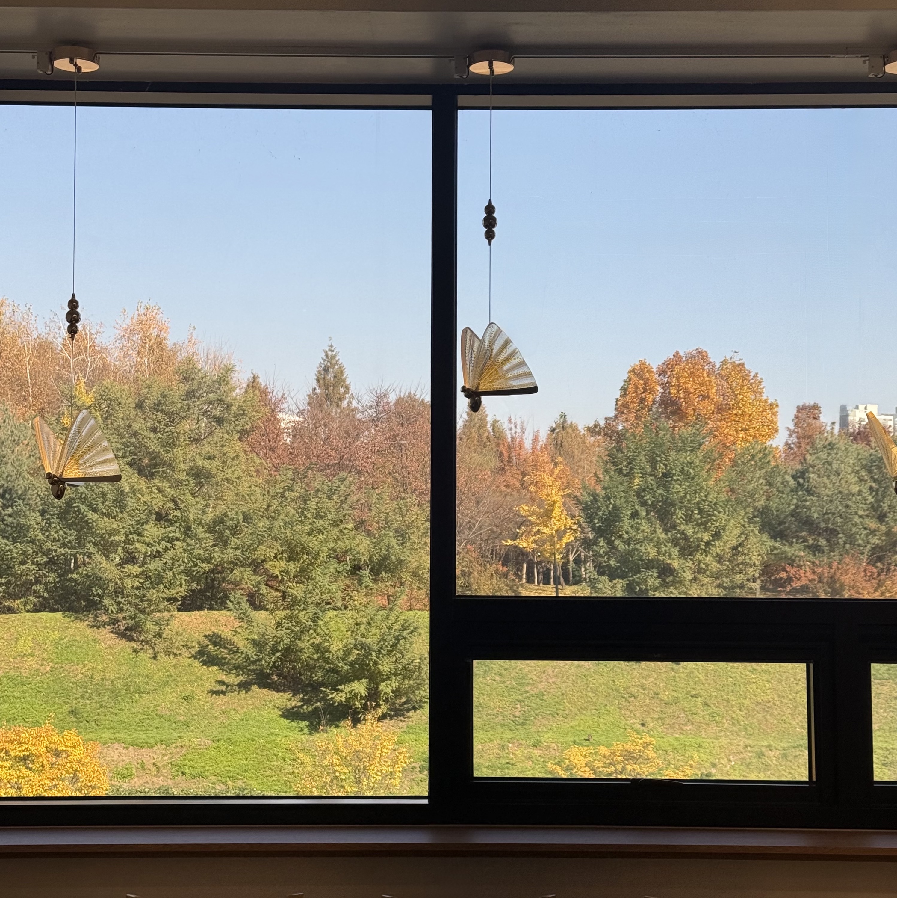 Arc'teryx Beta LT Jacket Tatsu 착용 스타일 - 3