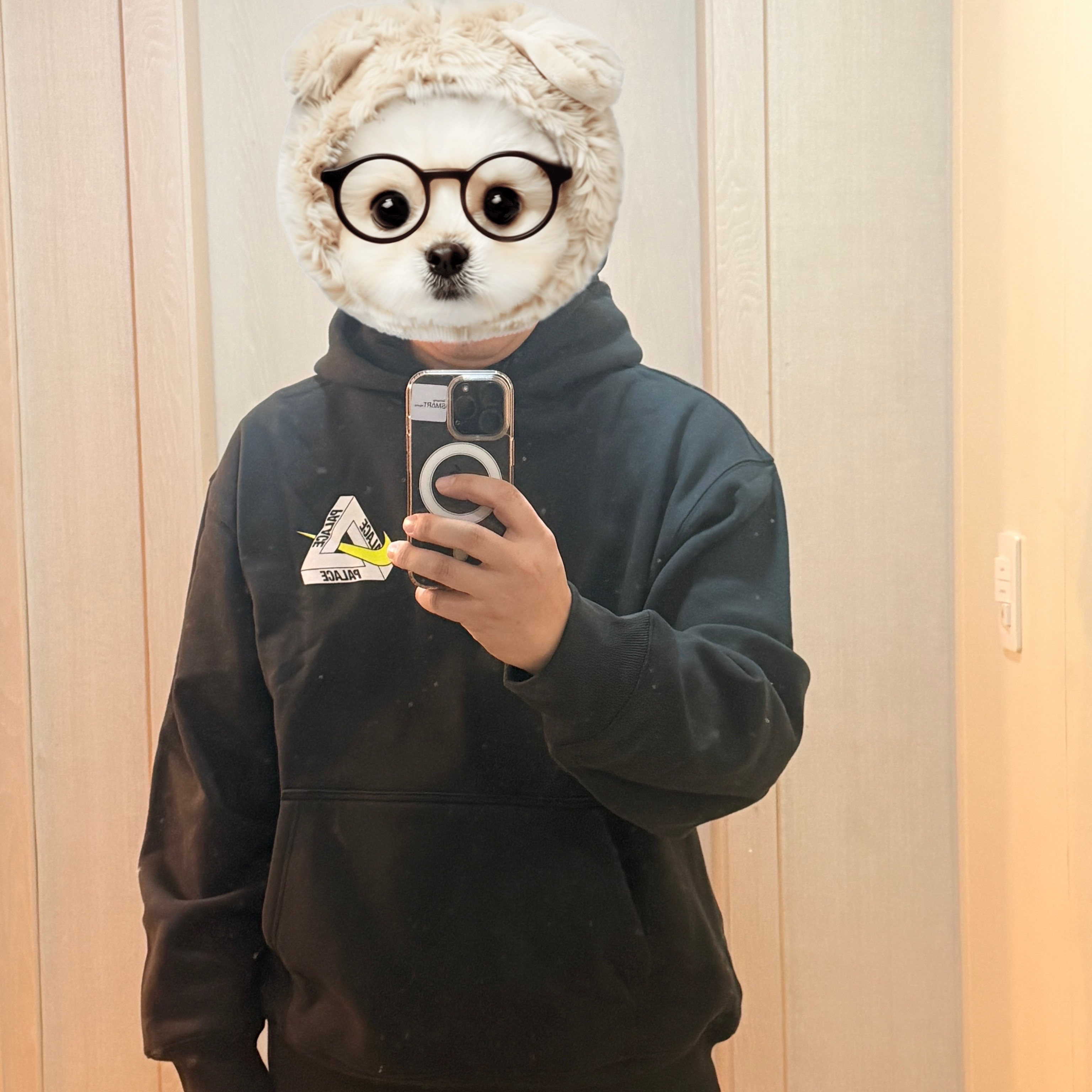 Palace x Nike Tri Swoosh Hood Black - 25FW 착용 스타일 - 1