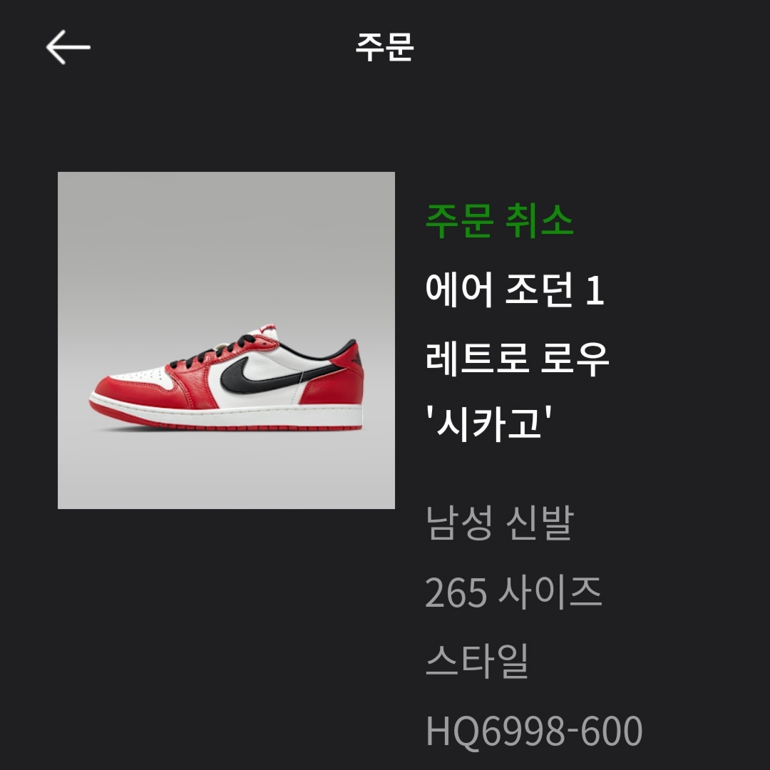 Jordan 1 Retro Low OG Chicago 착용 스타일