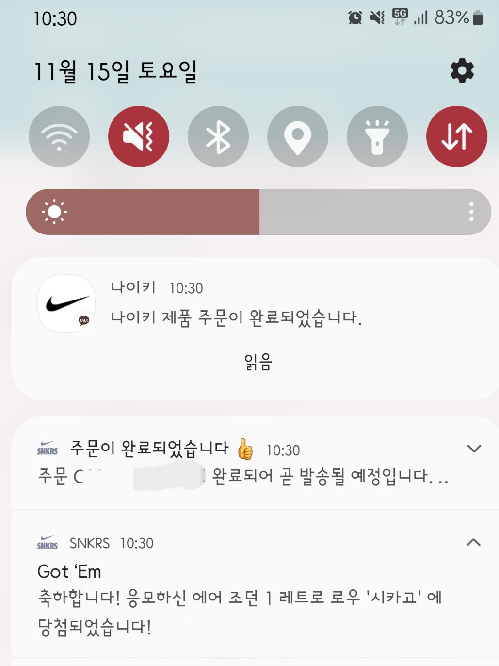 Jordan 1 Retro Low OG Chicago 착용 스타일 - 2