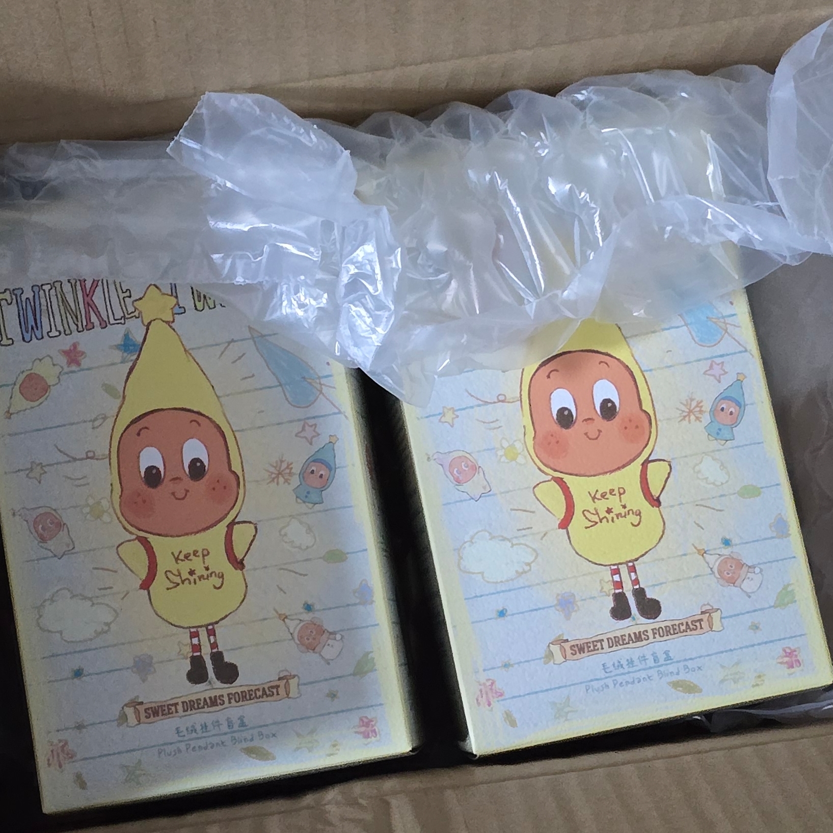 Pop Mart Twinkle Twinkle Sweet Dreams Forecast Series Plush Pendant Sealed Case (1 Blind Box) 착용 스타일