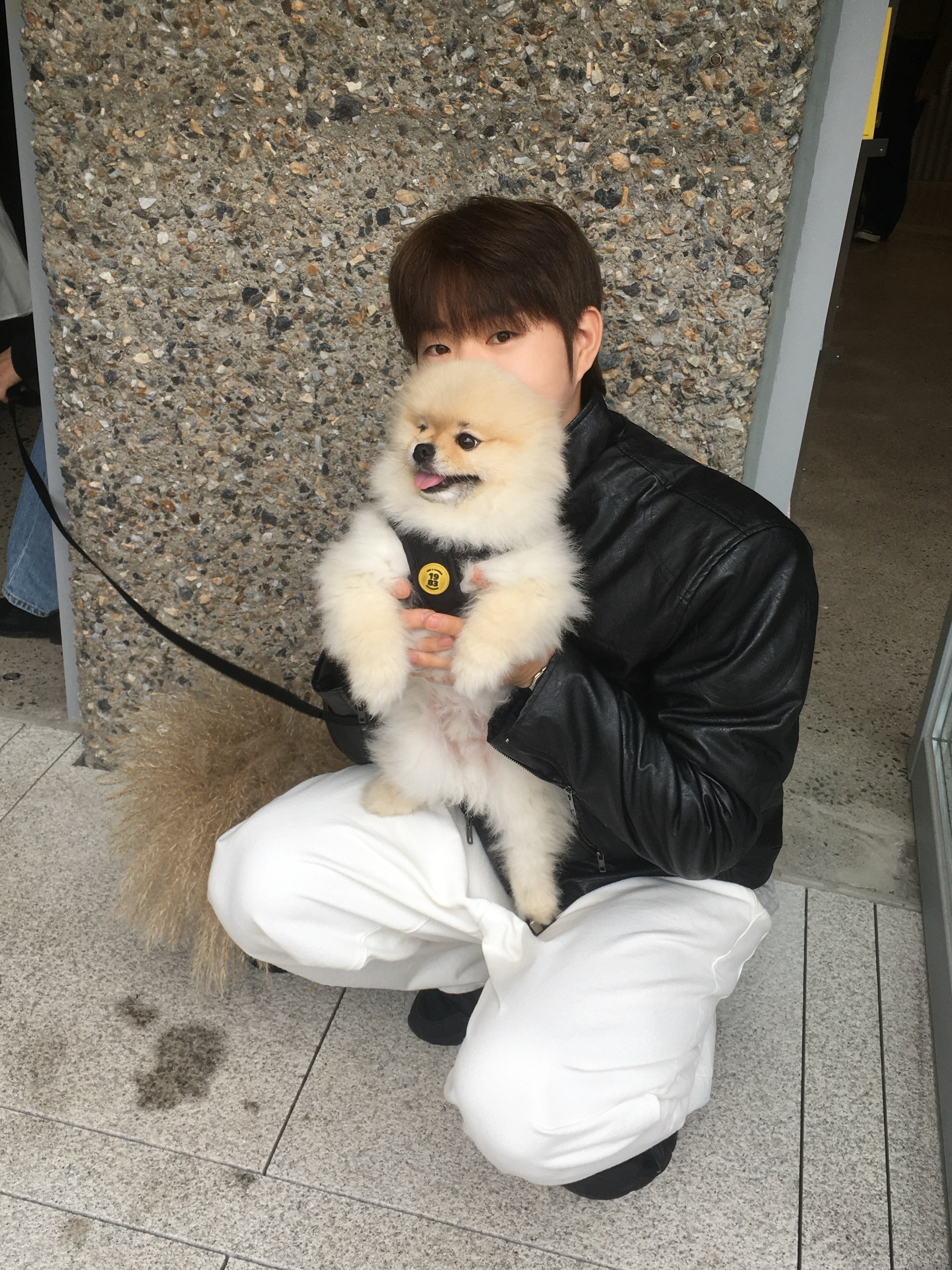 Asics Jog 100 T Black - 4E Extra Wide 착용 스타일 - 4