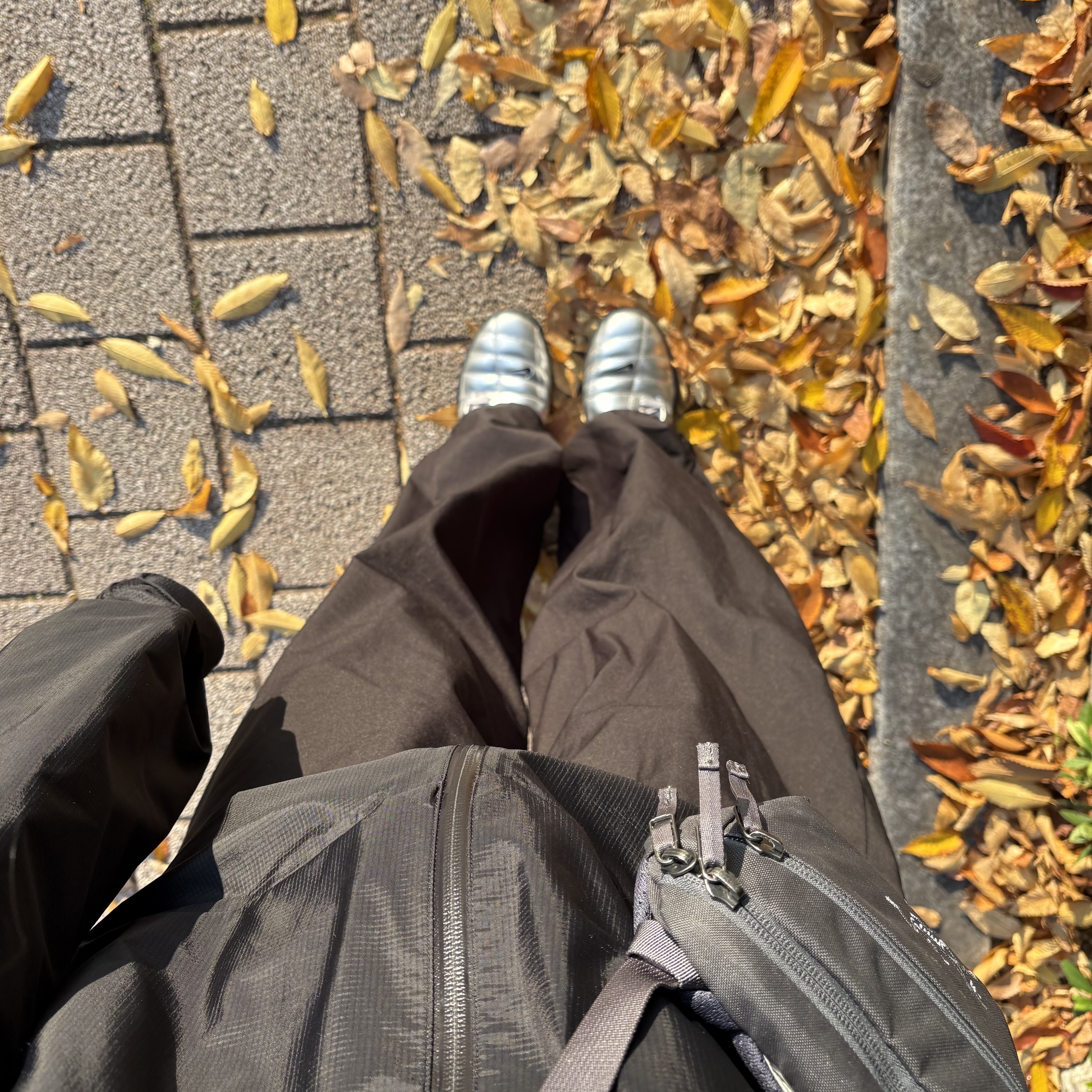 Arc'teryx Mantis 1 Waistpack Graphite, Nike Total 90 III SP Metallic Silver and Black 착용 스타일 - 2