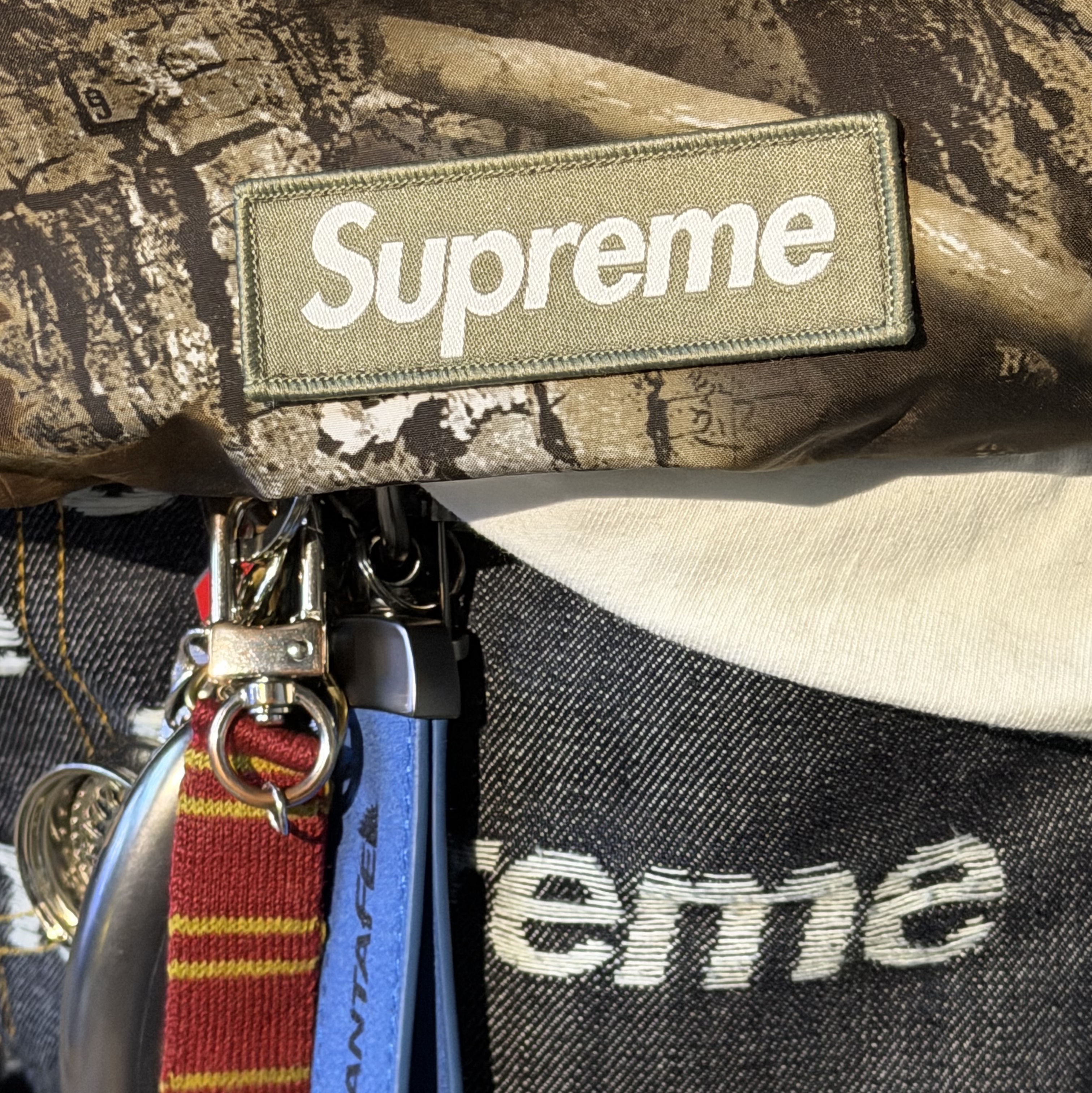 Supreme 2-In-1 Gore-Tex Parka + Reversible 700-Fill Down Liner Jacket Realtree Ap Camo - 25FW 착용 스타일 - 2