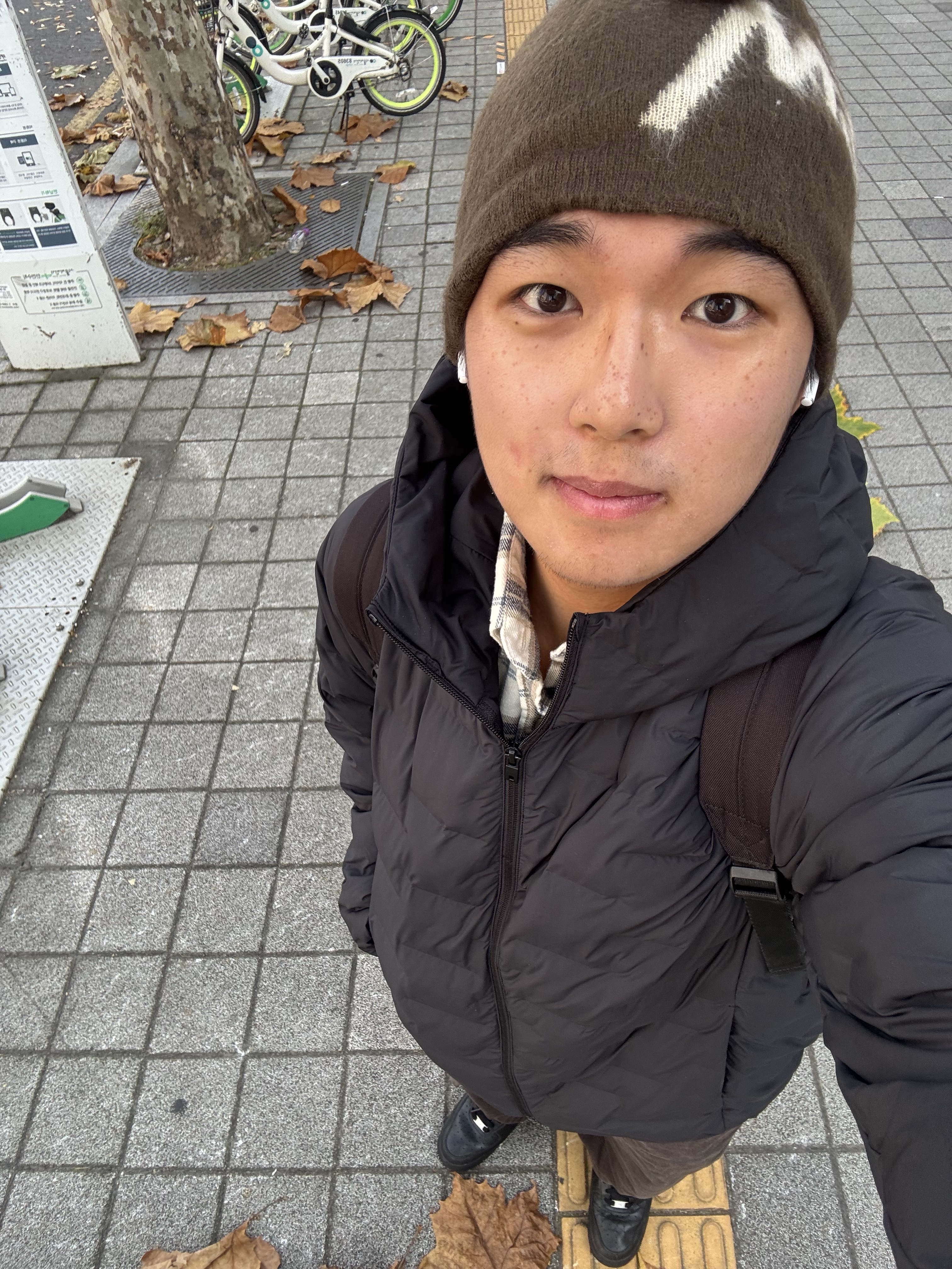 Stussy Brushed Out Stock Skullcap Beanie Brown 착용 스타일 - 2