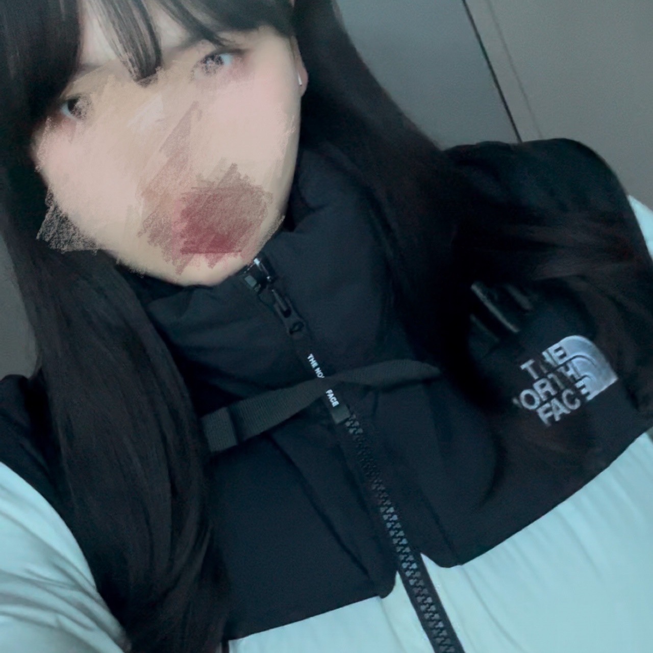 The North Face White Label Novelty Nuptse RDS Down Jacket Ivory 착용 스타일