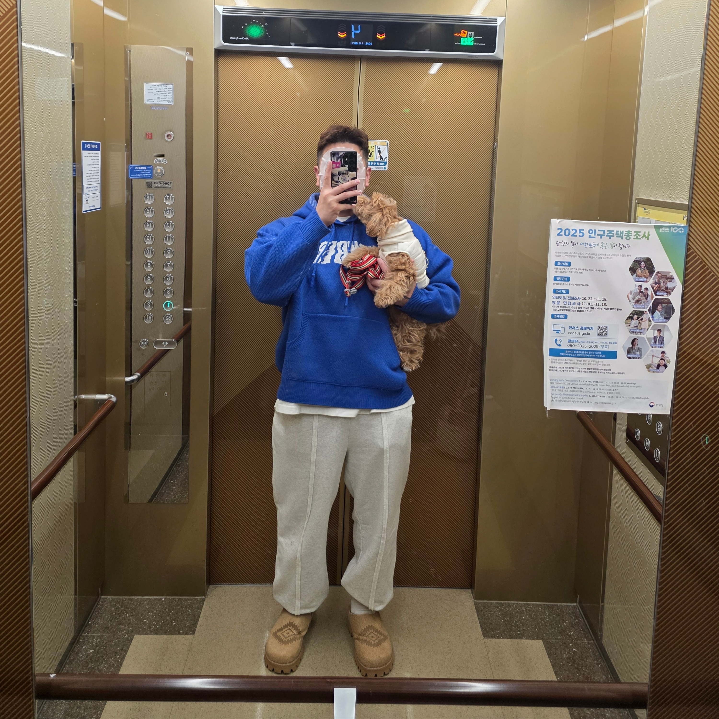 정하디님의 스타일