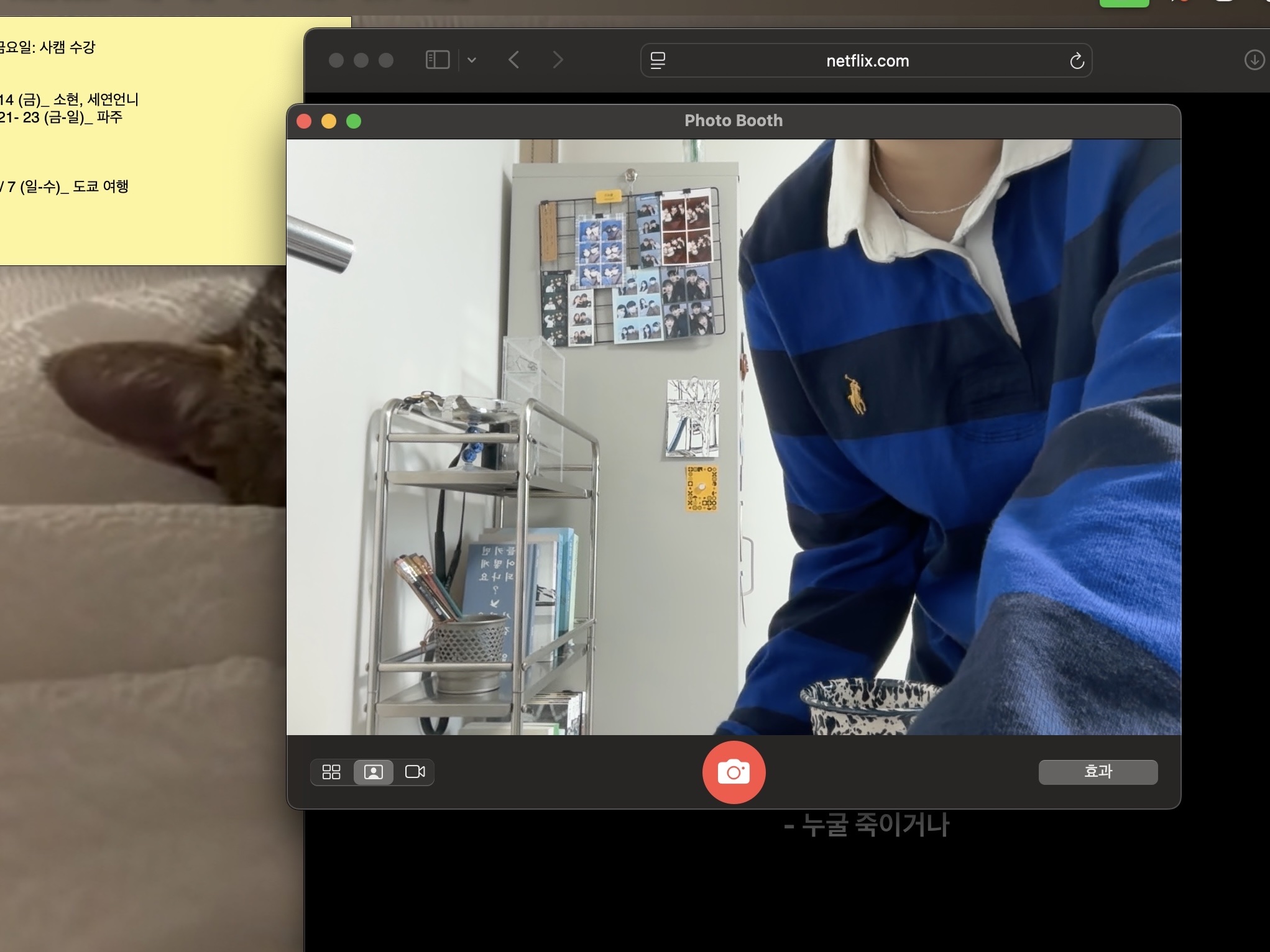 [30%적립] Polo Ralph Lauren Iconic Rugby Shirt Artic Yellow - 24FW 착용 스타일 - 1