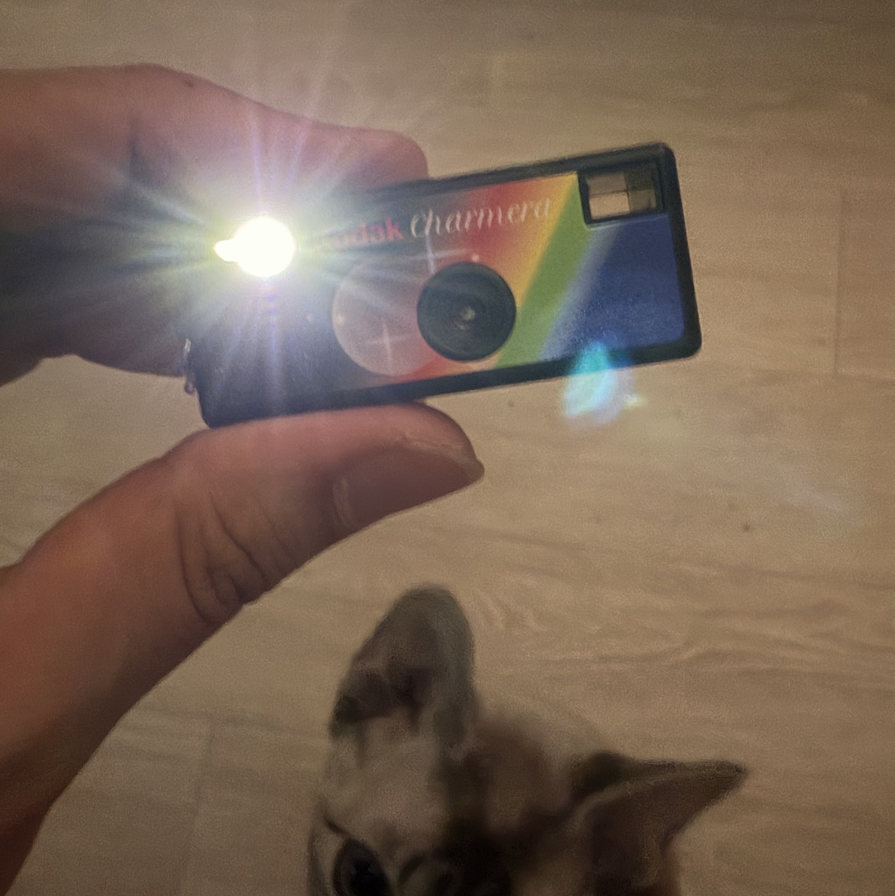 Kodak Charmera Key Chain Film Camera Sealed Case (1 Blind Box) 착용 스타일 - 2