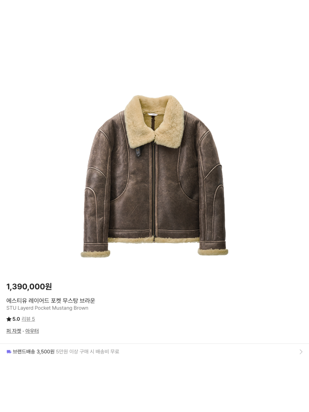 STU Layerd Pocket Mustang Brown, Montbell Neige Down Parka Green 착용 스타일 - 6