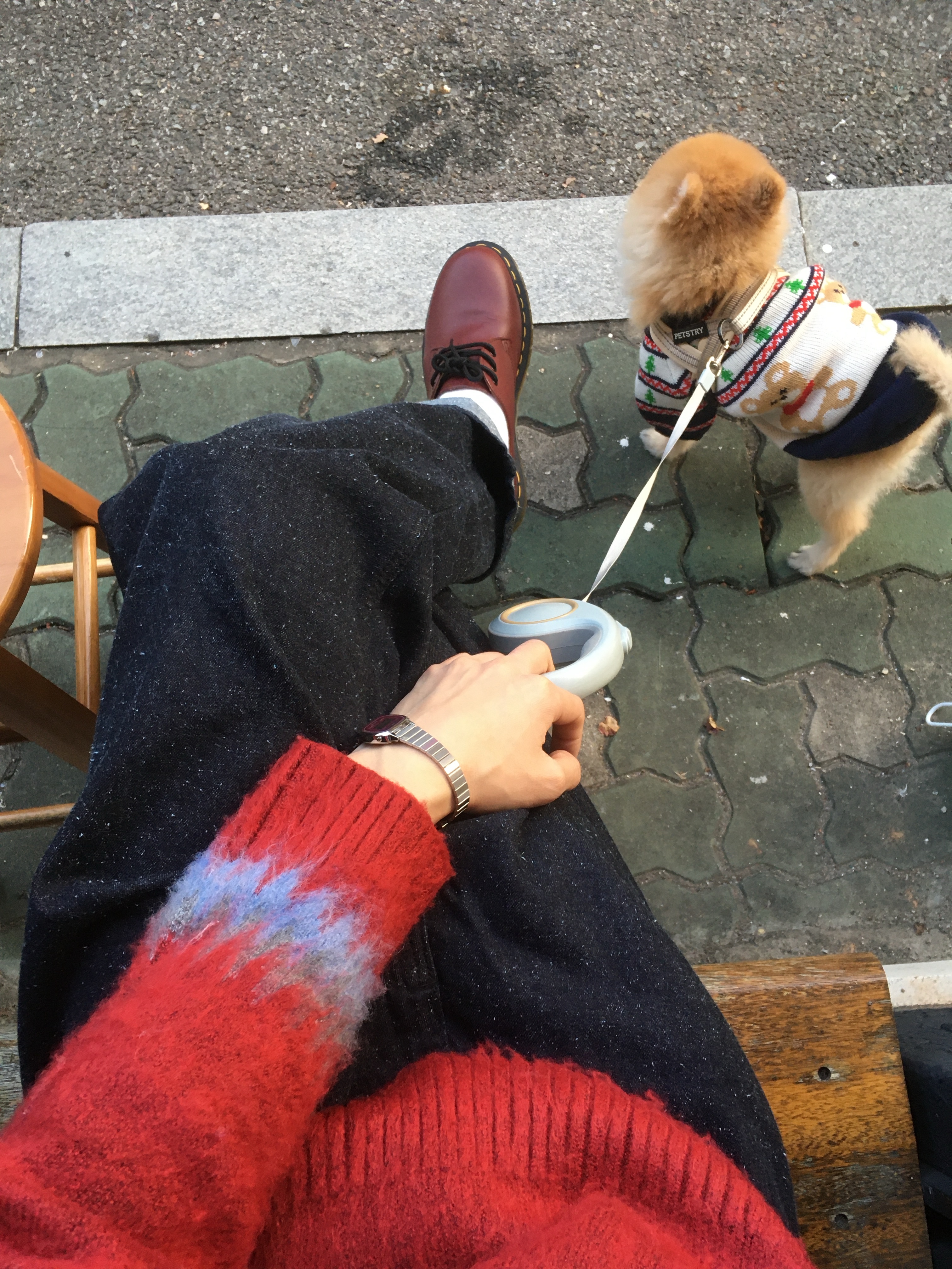 Casio LA670WA-4, Dr. Martens 1461 Smooth Leather Oxford Shoes Cherry Red 착용 스타일 - 3