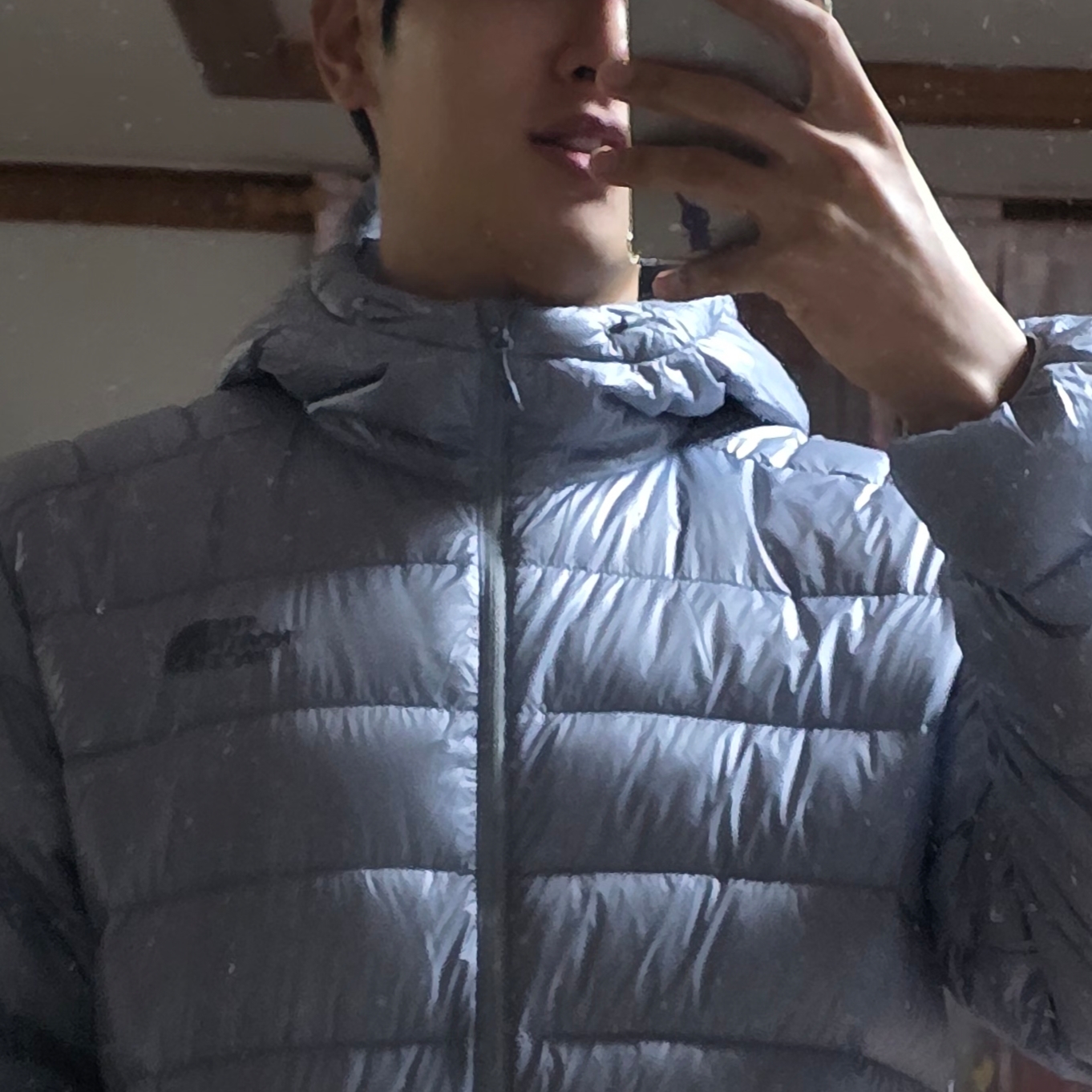 The North Face Matier Down Hoodie RDS Light Gray - 25FW 착용 스타일