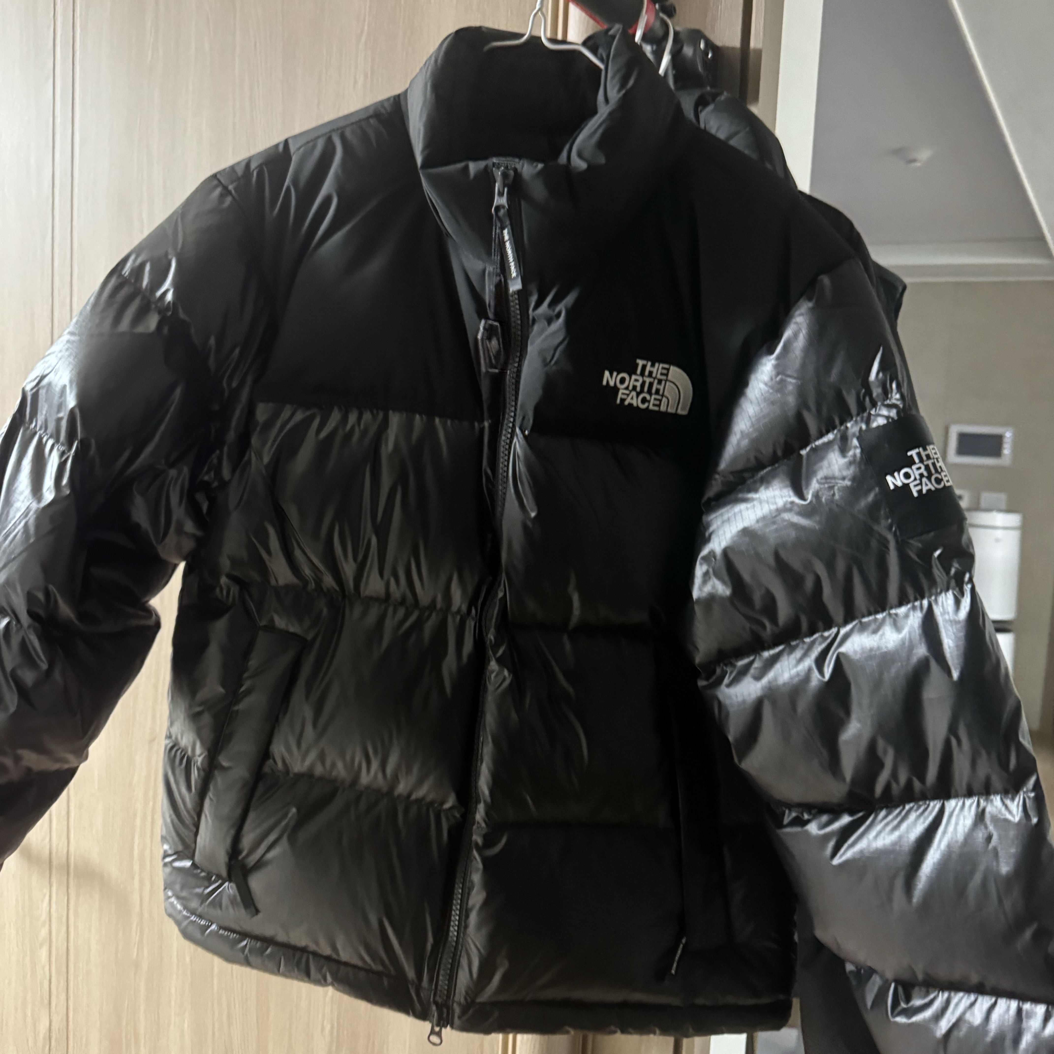 The North Face White Label Novelty Nuptse RDS Down Jacket Black 착용 스타일