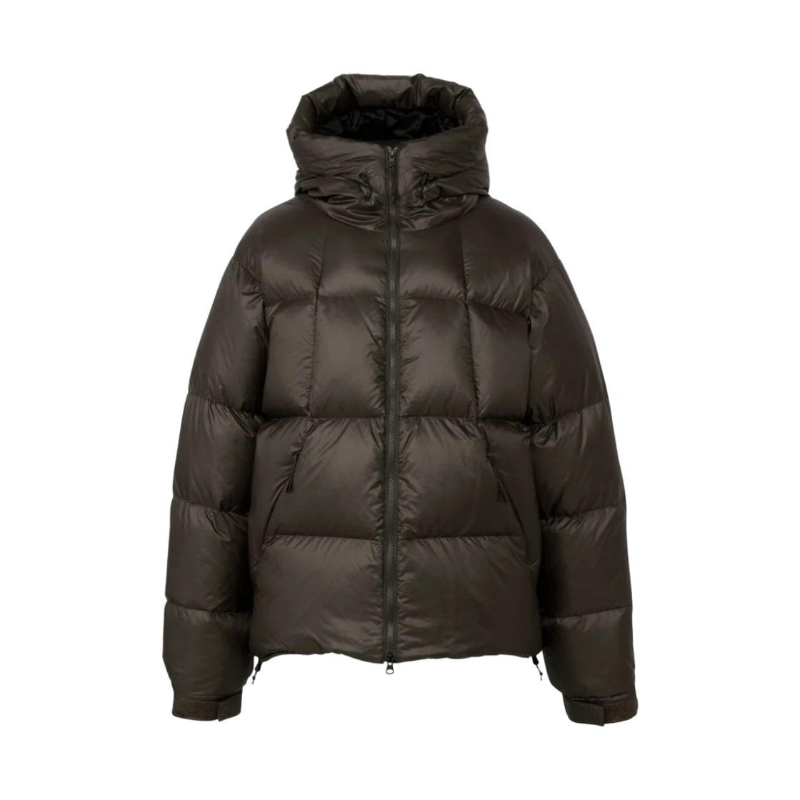 골드윈 퍼텍스 퀀텀 다운 파카 딥 브라운(Goldwin Pertex Quantum Down Parka Deep Brown)