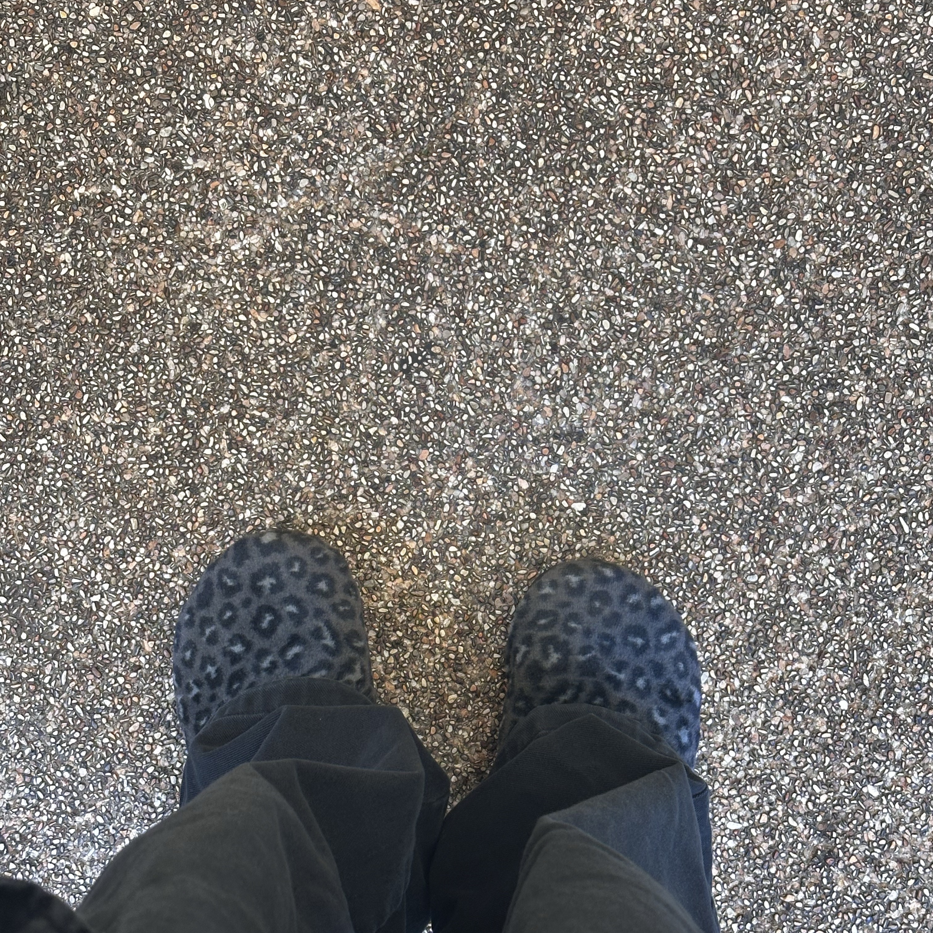 Crocs Classic Unfurgettable Leopard Clog Black Leopard 착용 스타일 - 2