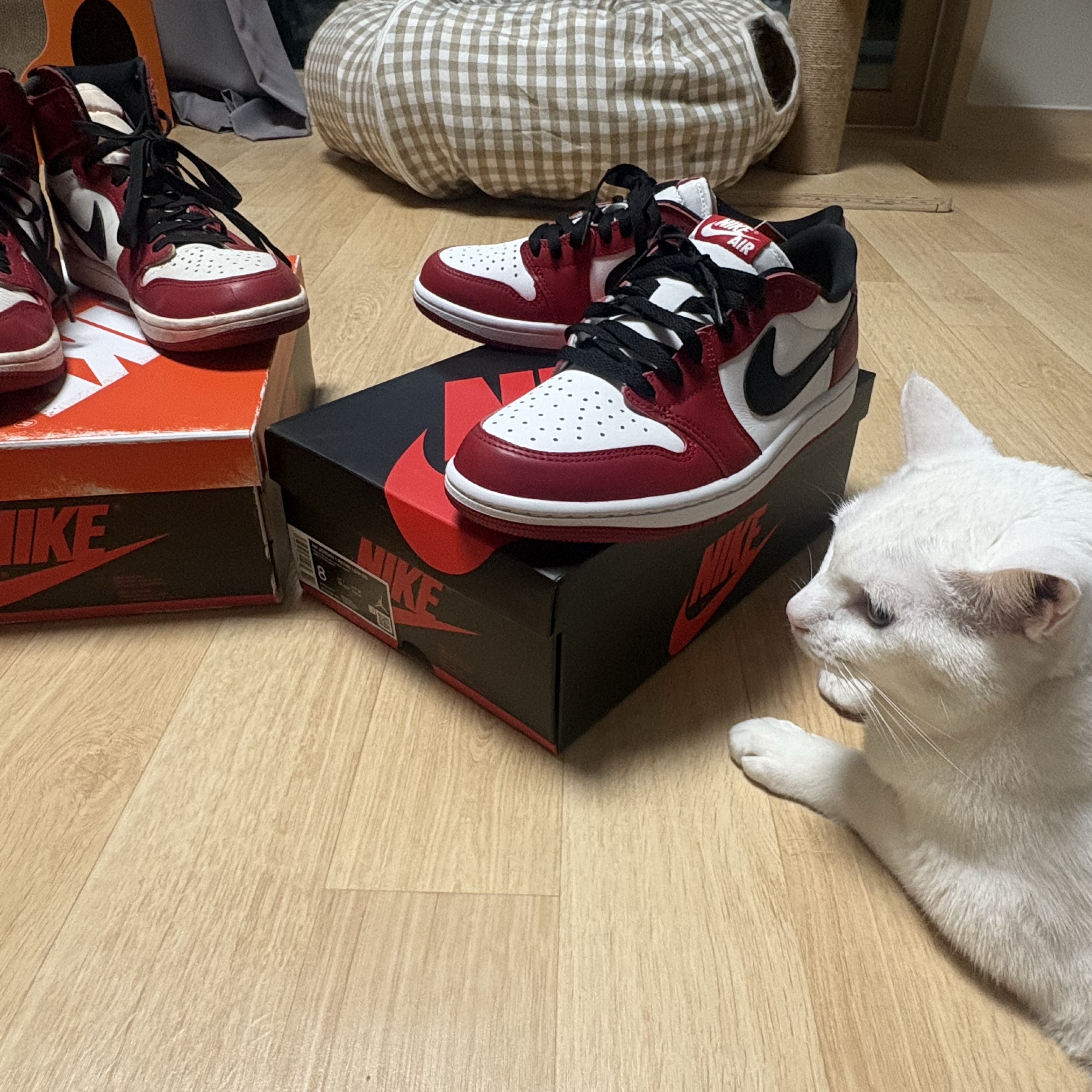 Jordan 1 Retro Low OG Chicago, Jordan 1 Retro High OG Chicago 2022 착용 스타일 - 6