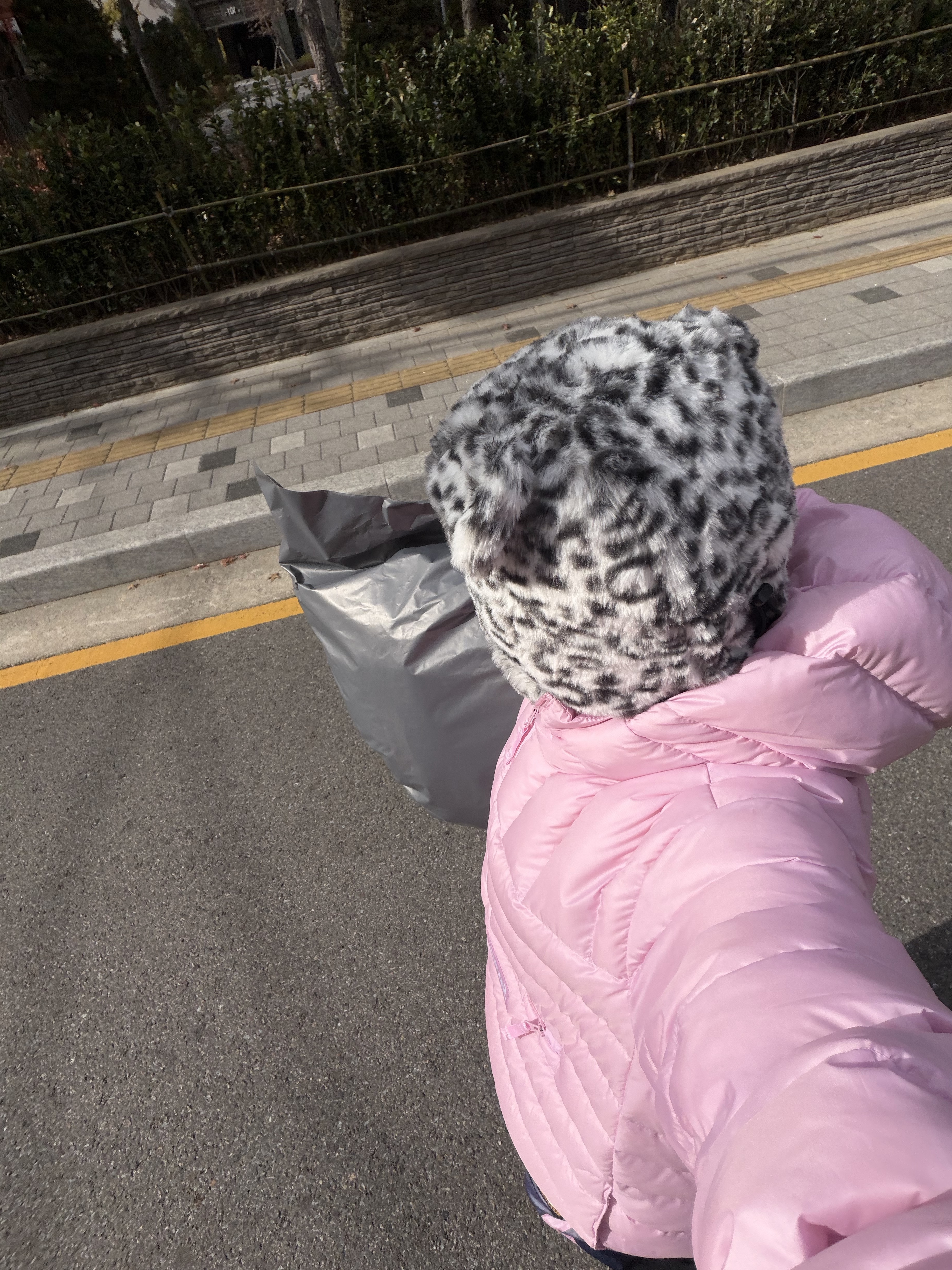 Supreme Micro Down Half Zip Hooded Pullover Light Pink - 25FW, Palace Furry Ears Balaclava Snow Leopard - 25FW 착용 스타일