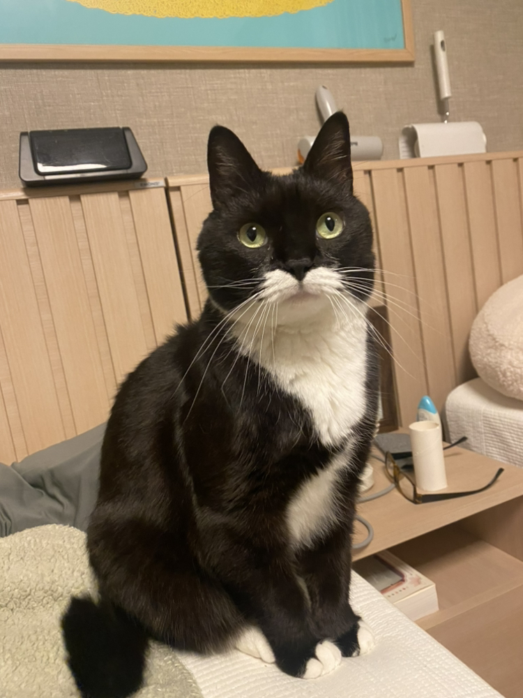 관심 유저 프로필 이미지