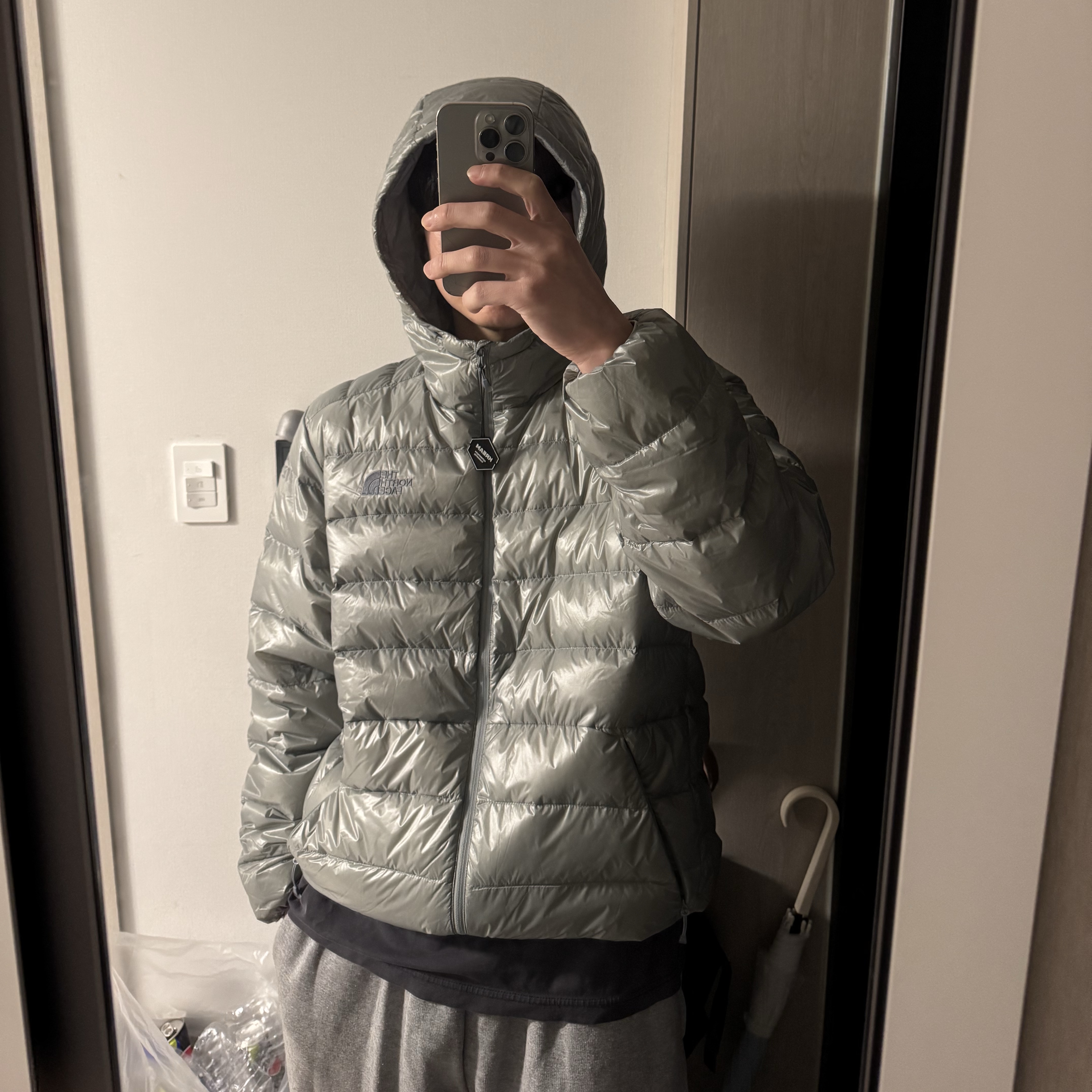 The North Face Matier EX RDS Down Hoodie Light Gray - 25FW 착용 스타일