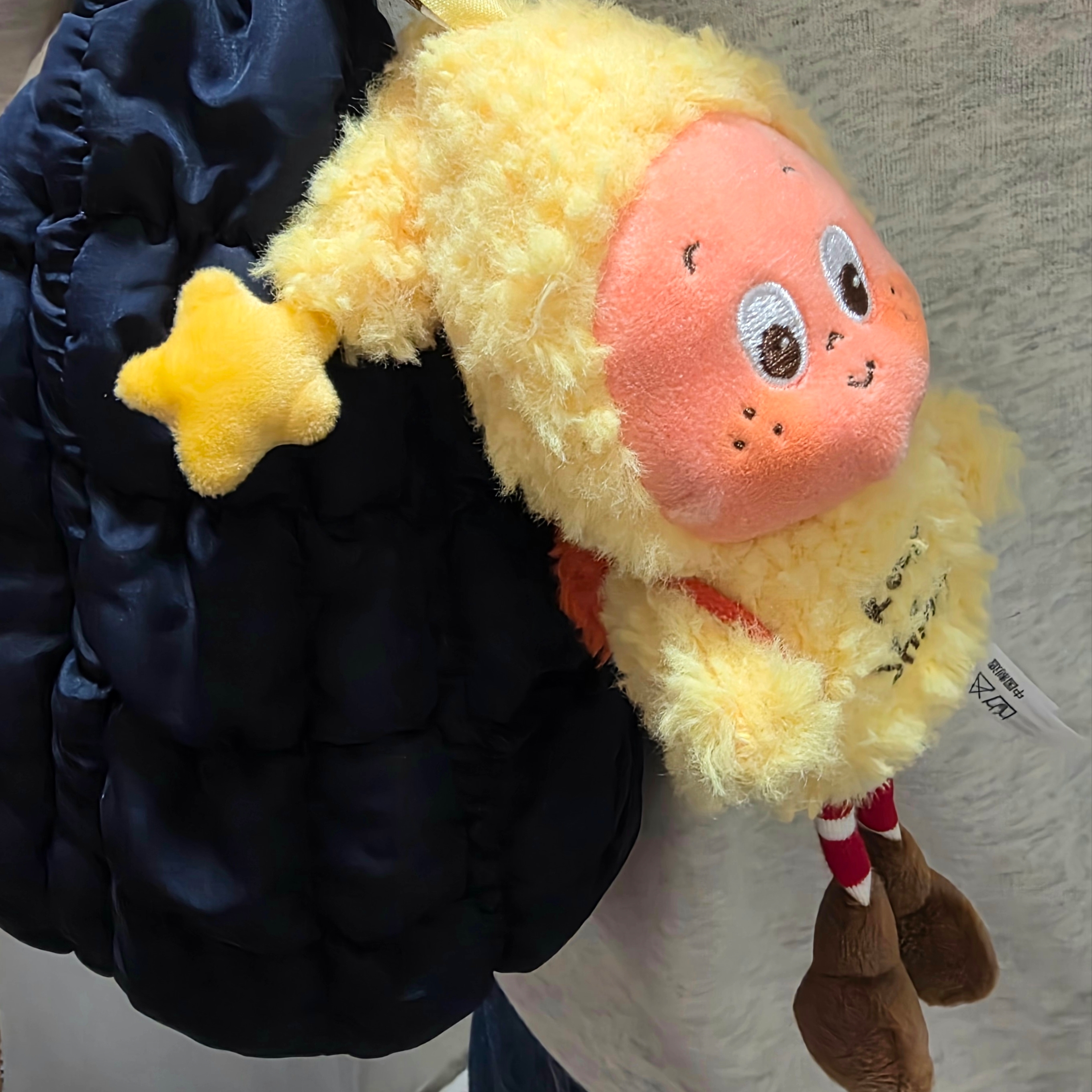 Pop Mart Twinkle Twinkle Sweet Dreams Forecast Series Plush Pendant Keep Shining (Opened Case) 착용 스타일