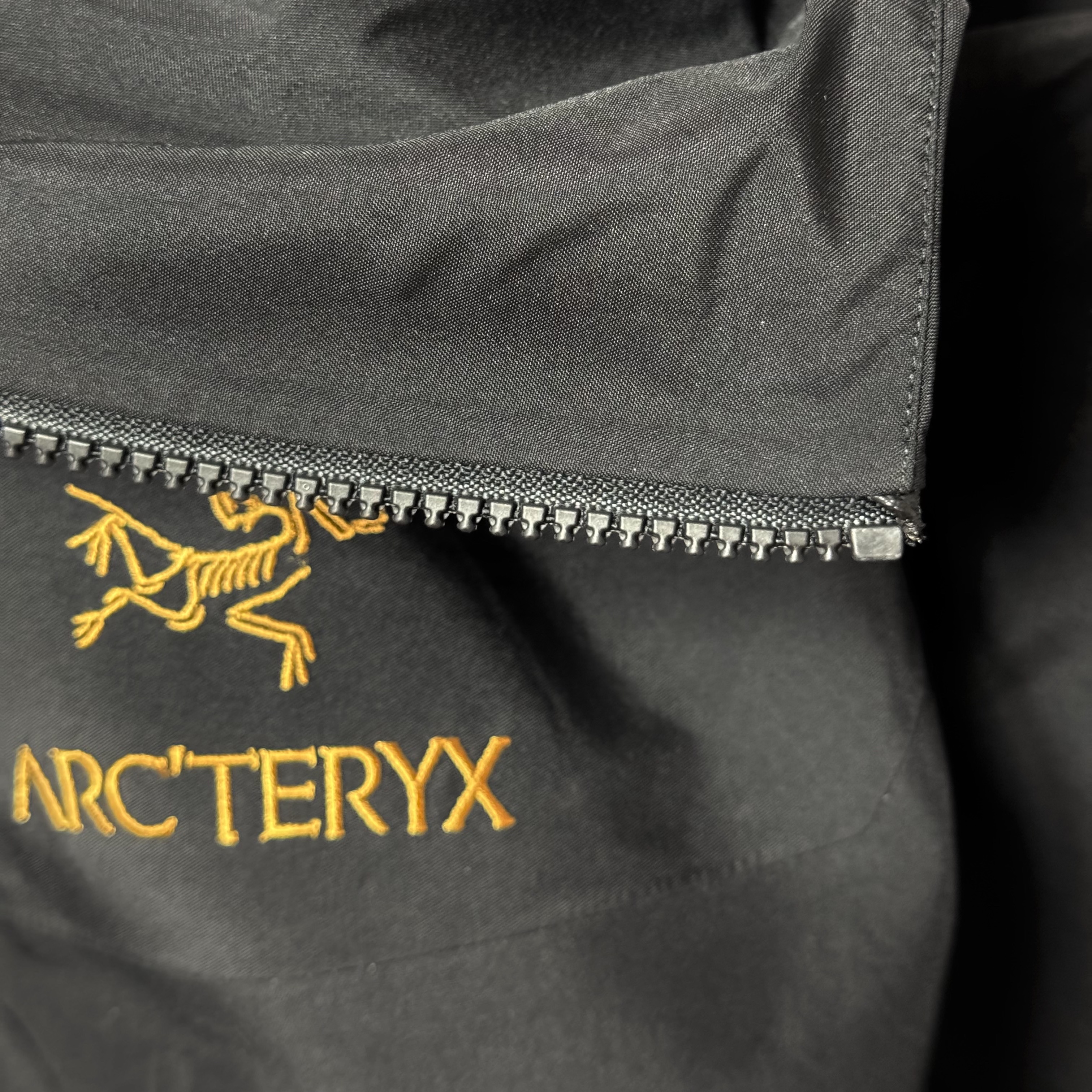 Arc'teryx Cerium LT Hoody Ether, Arc'teryx Thorium AR Hoody 24K Black 착용 스타일 - 2