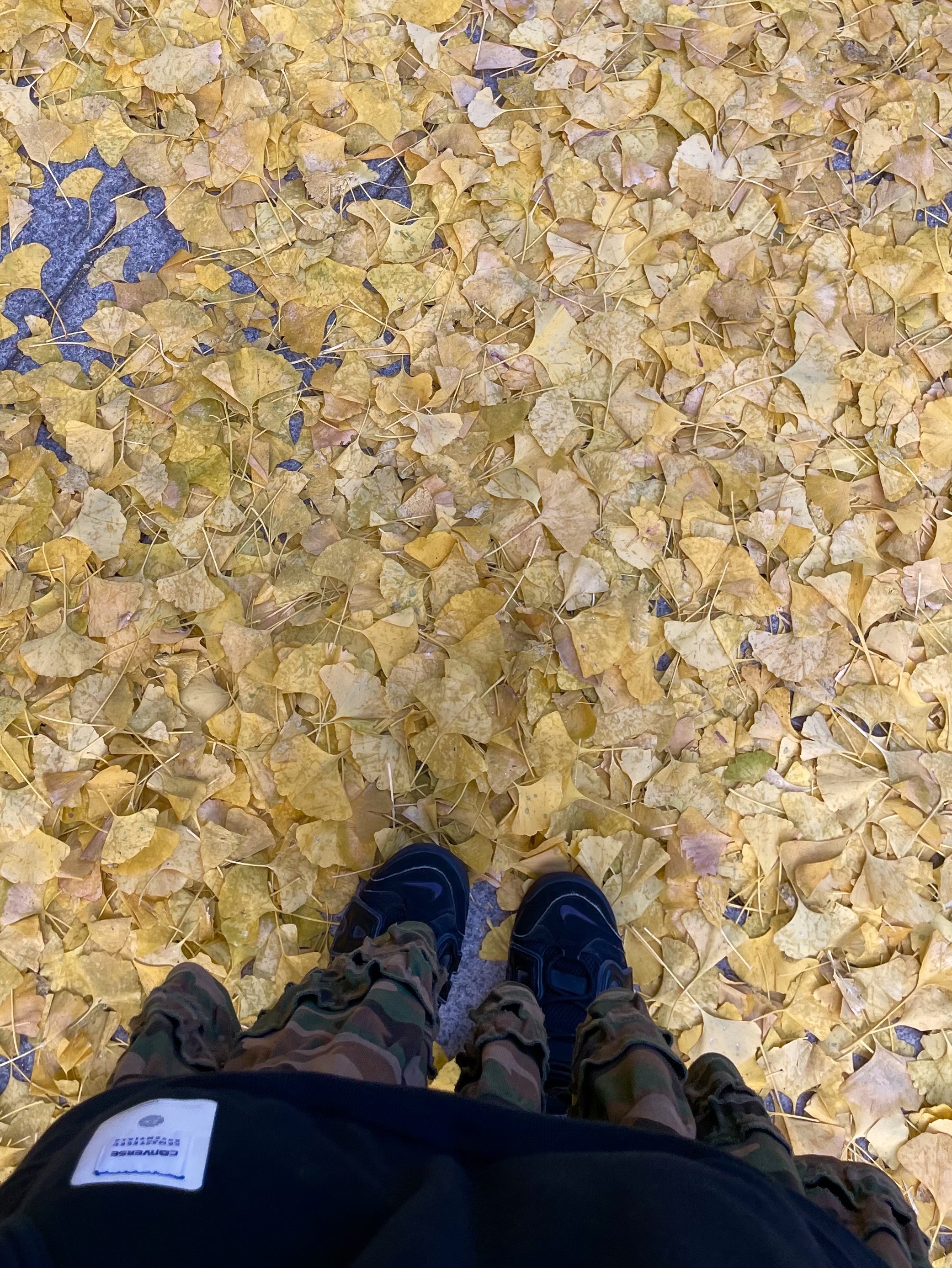 (GS) Nike Air More Uptempo Black Anthracite 착용 스타일 - 3