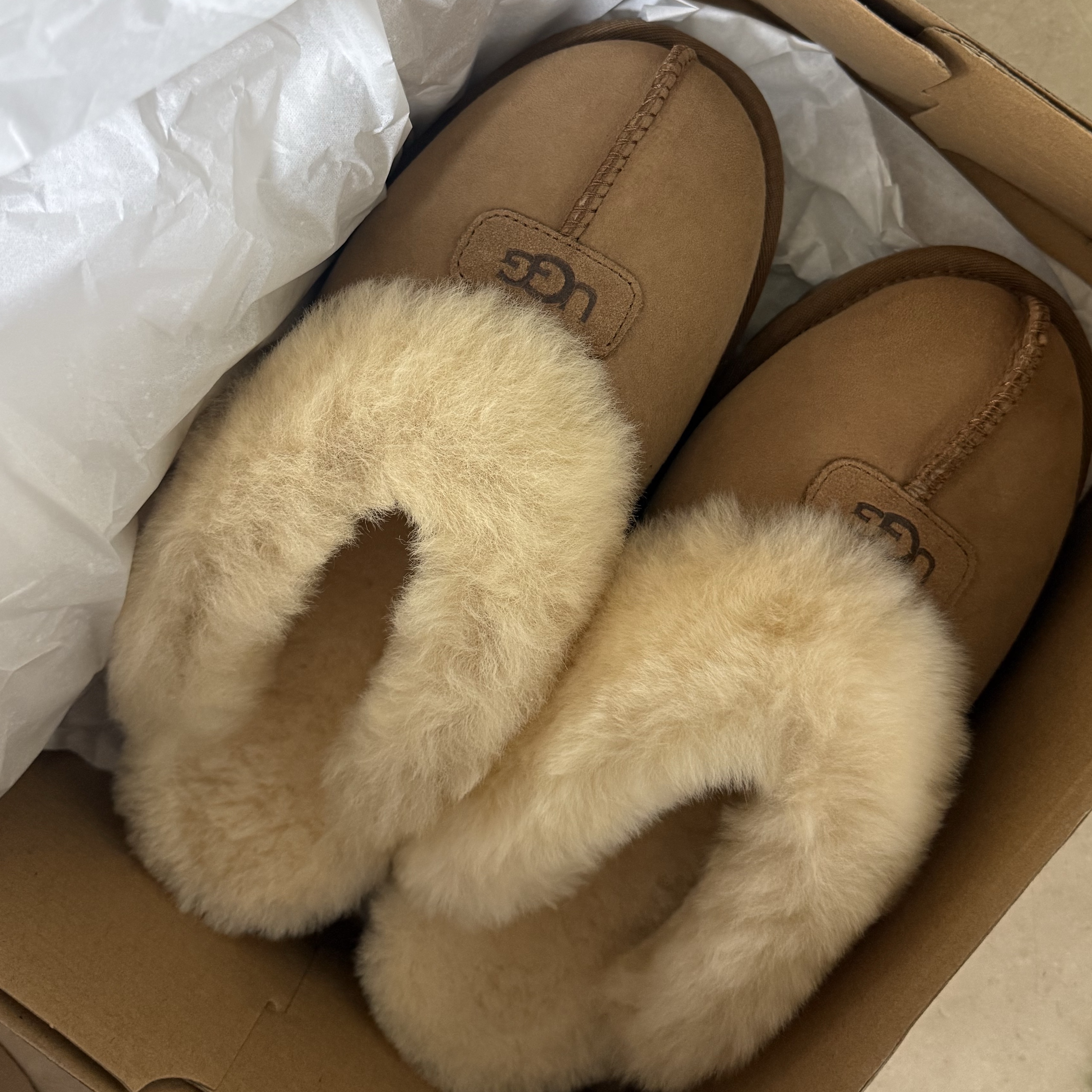(W) UGG Coquette Slipper Chestnut 착용 스타일