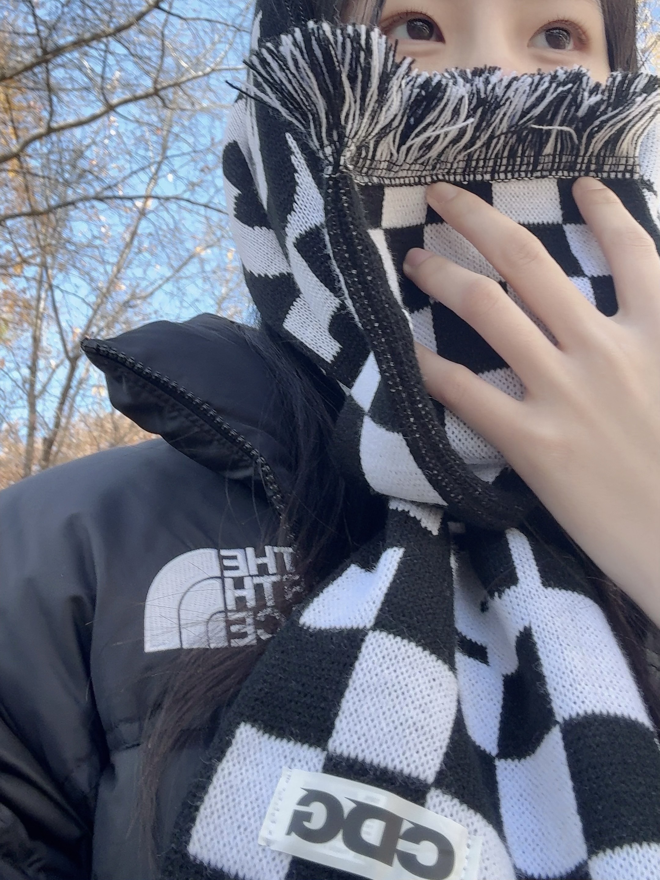 CDG Logo Check Muffler White Black, The North Face 1996 Eco Nuptse Jacket Black 착용 스타일 - 1