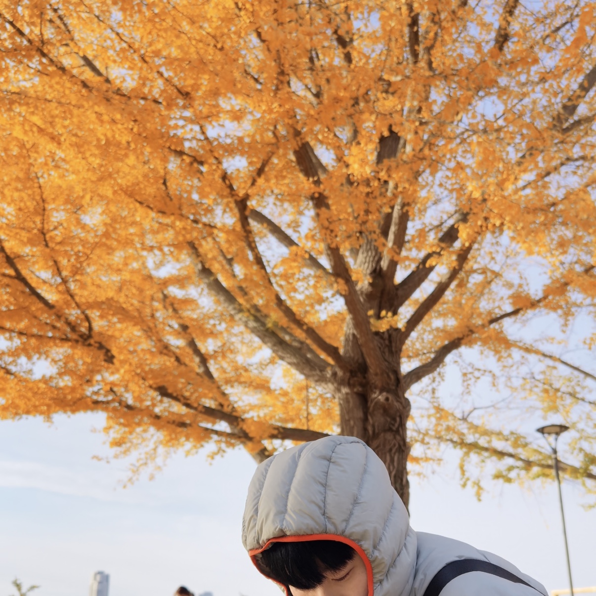 Arc'teryx Cerium Hoody Habitat 착용 스타일 - 2