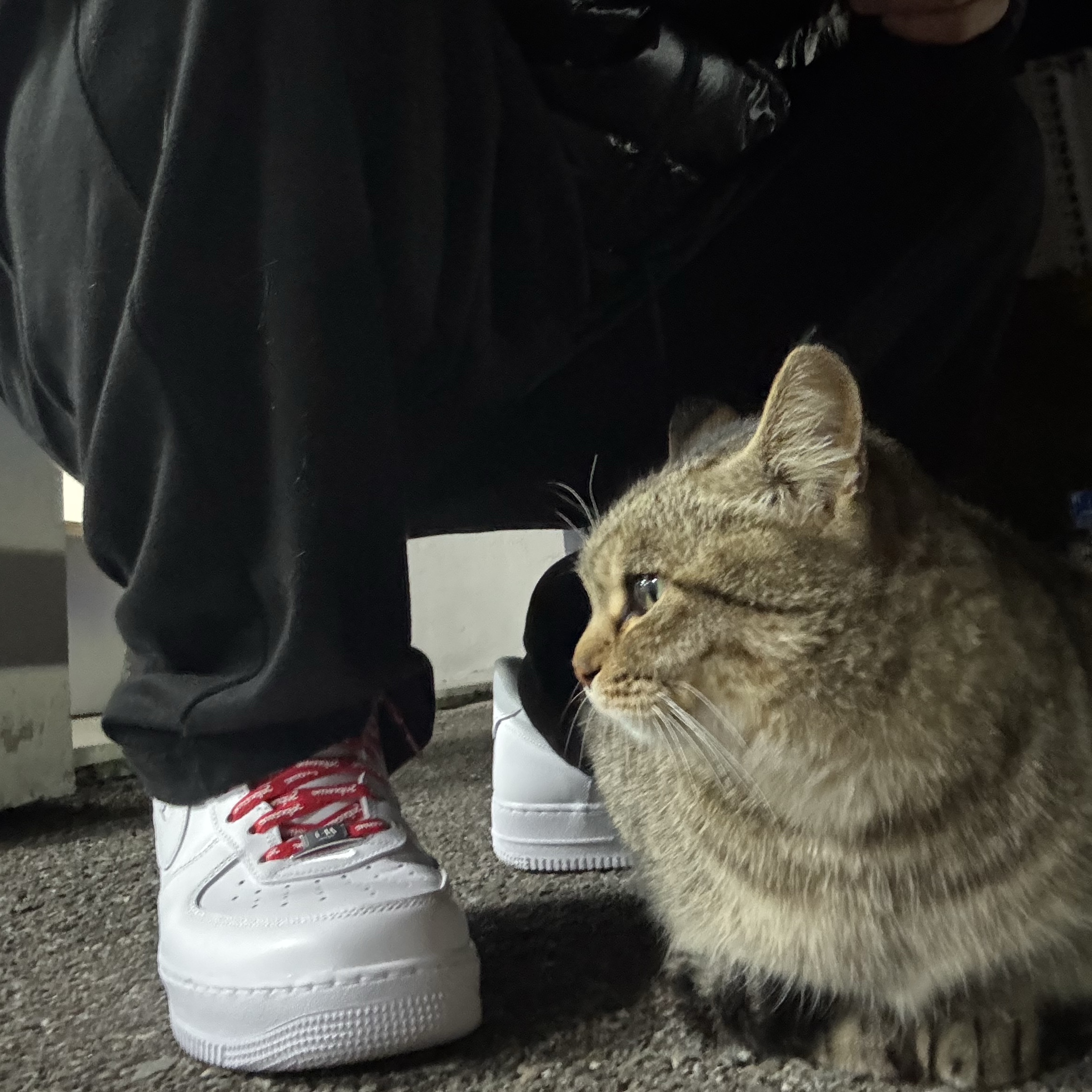 Nike x Supreme Air Force 1 Low White 착용 스타일 - 1