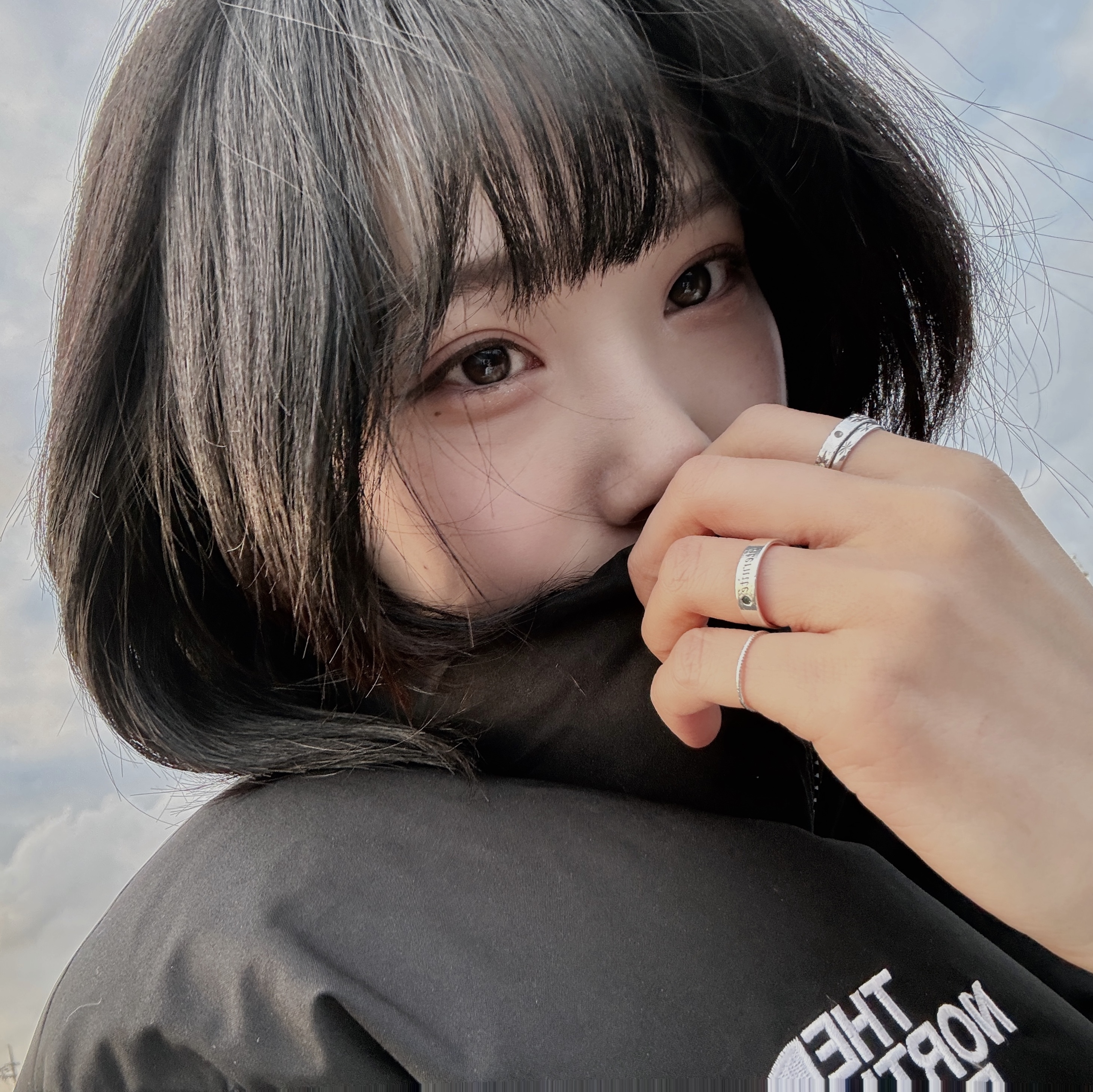 (W) The North Face White Label Novelty Nuptse Down Jacket SE Silver, Supreme Puffer Side Bag Green - 22FW 착용 스타일 - 2
