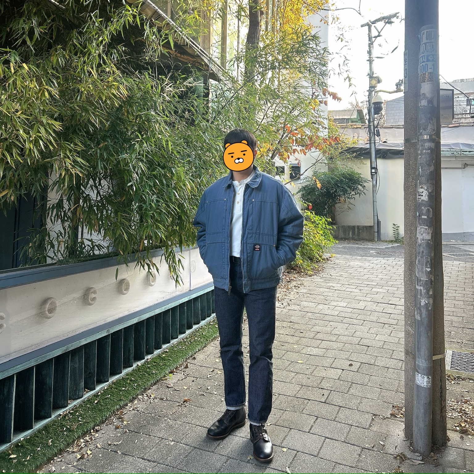 Supreme x Dickies Hooded Work Jacket Light Blue - 24FW, Red Wing  Beckman Flatbox 9060 Black Klondike - D 착용 스타일