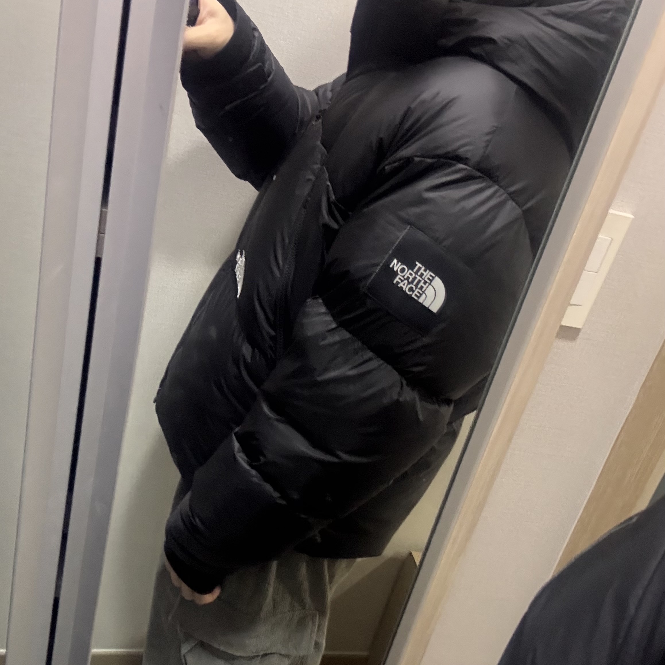 The North Face White Label Project Down Jacket RDS Black - 25FW 착용 스타일