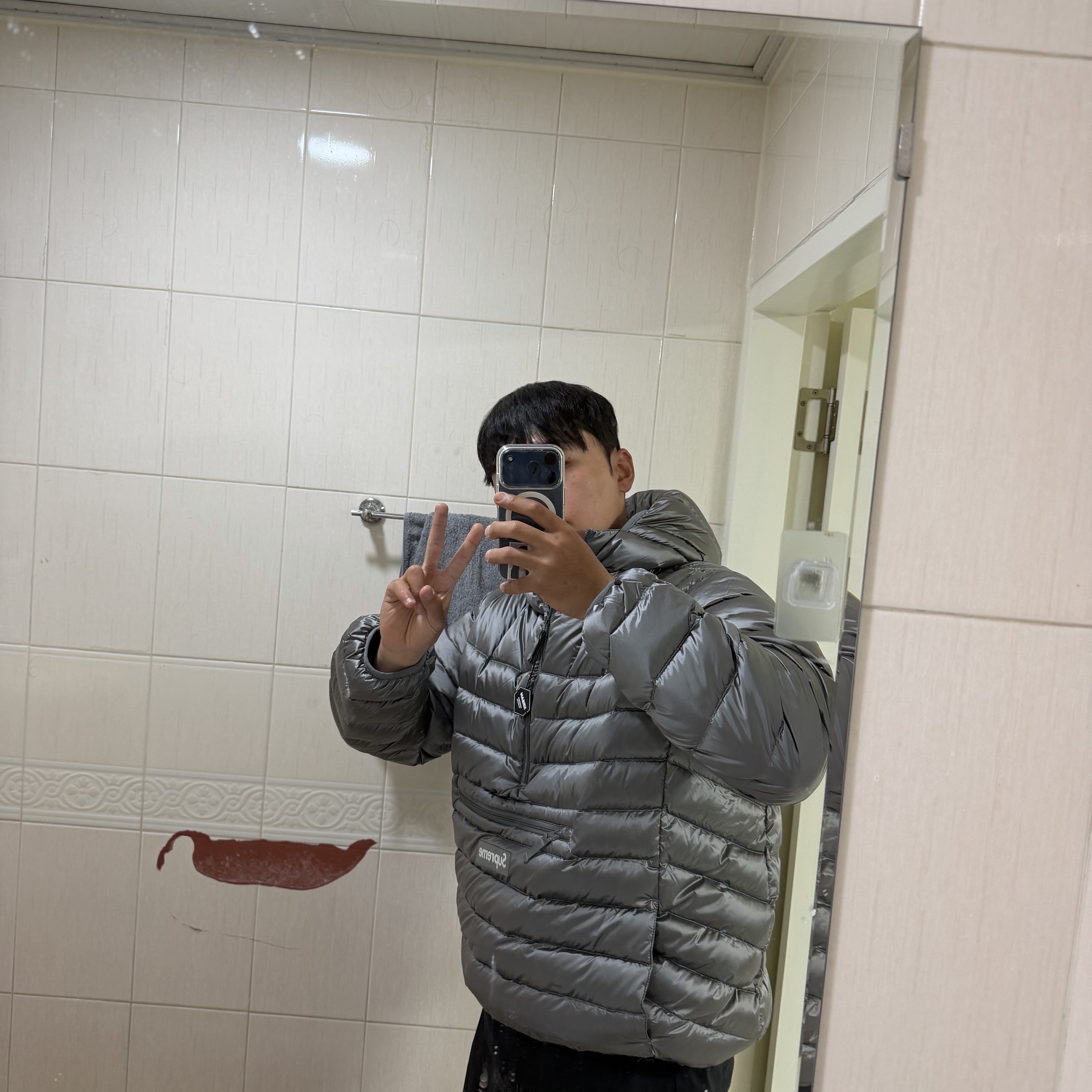 Supreme Micro Down Half Zip Hooded Pullover Silver - 25FW 착용 스타일