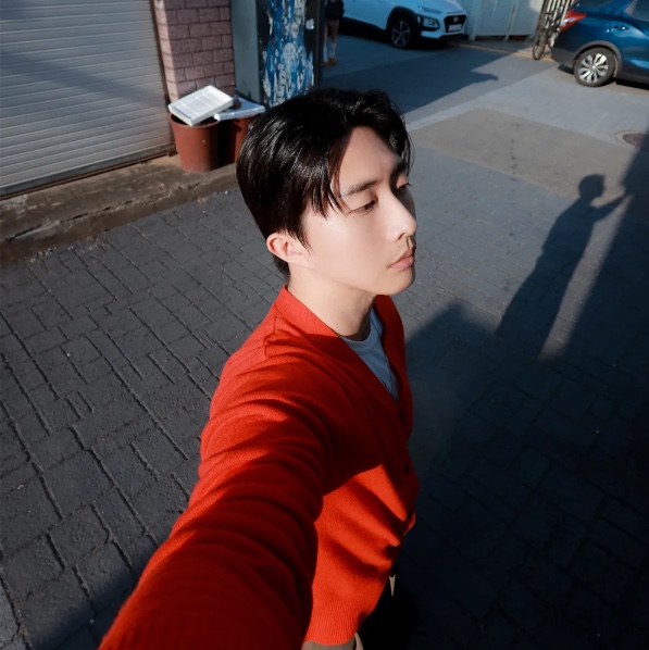 Blue Sunflower Bloom Rems Wool Cardigan Red 착용 스타일 - 1