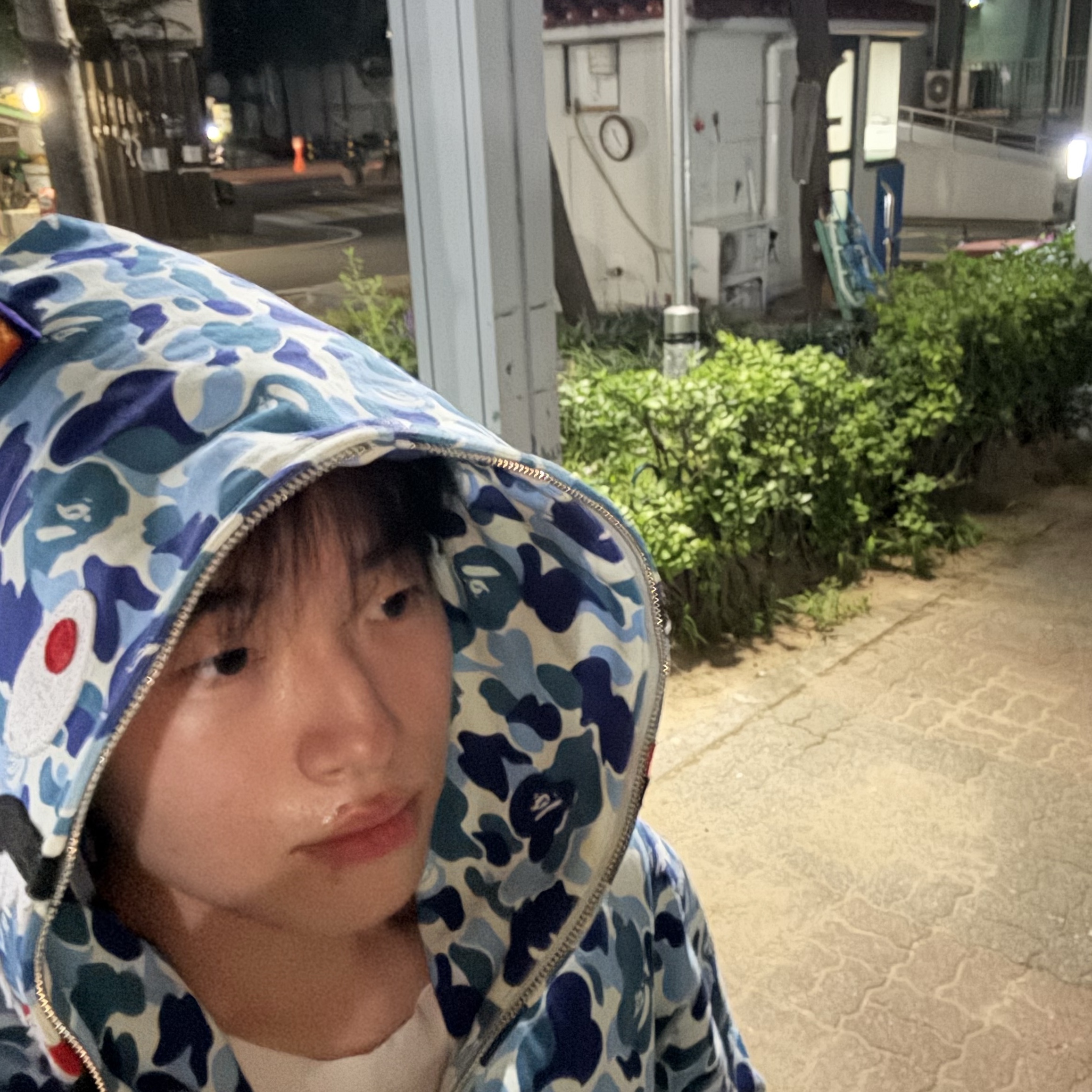 BAPE ABC Camo Shark Full Zip Hoodie Blue 착용 스타일 - 1
