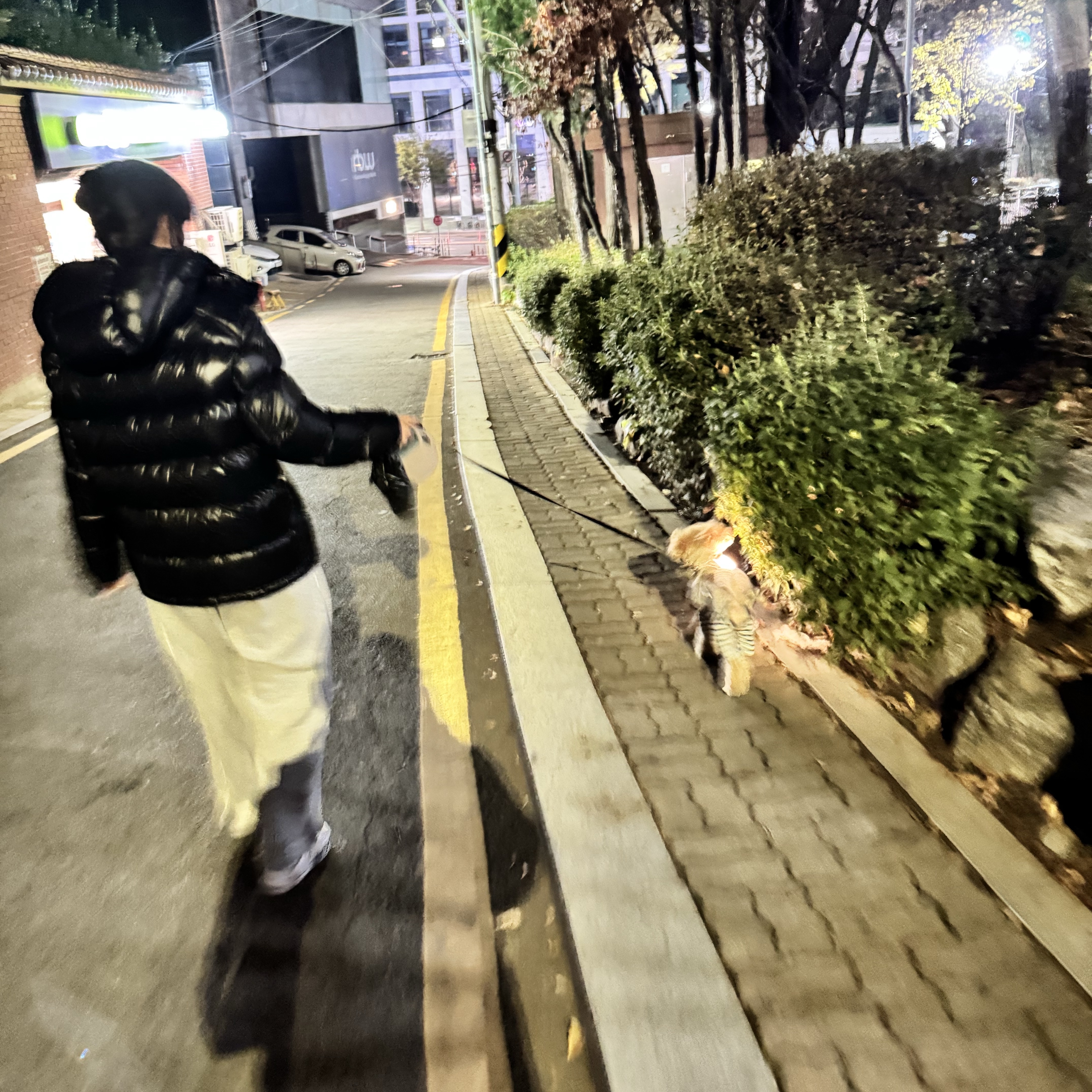 C.P. Company The Metropolis Series Pertex Hooded Vest Black - 24FW, Stussy Stock Seoul T-Shirt White 착용 스타일 - 7