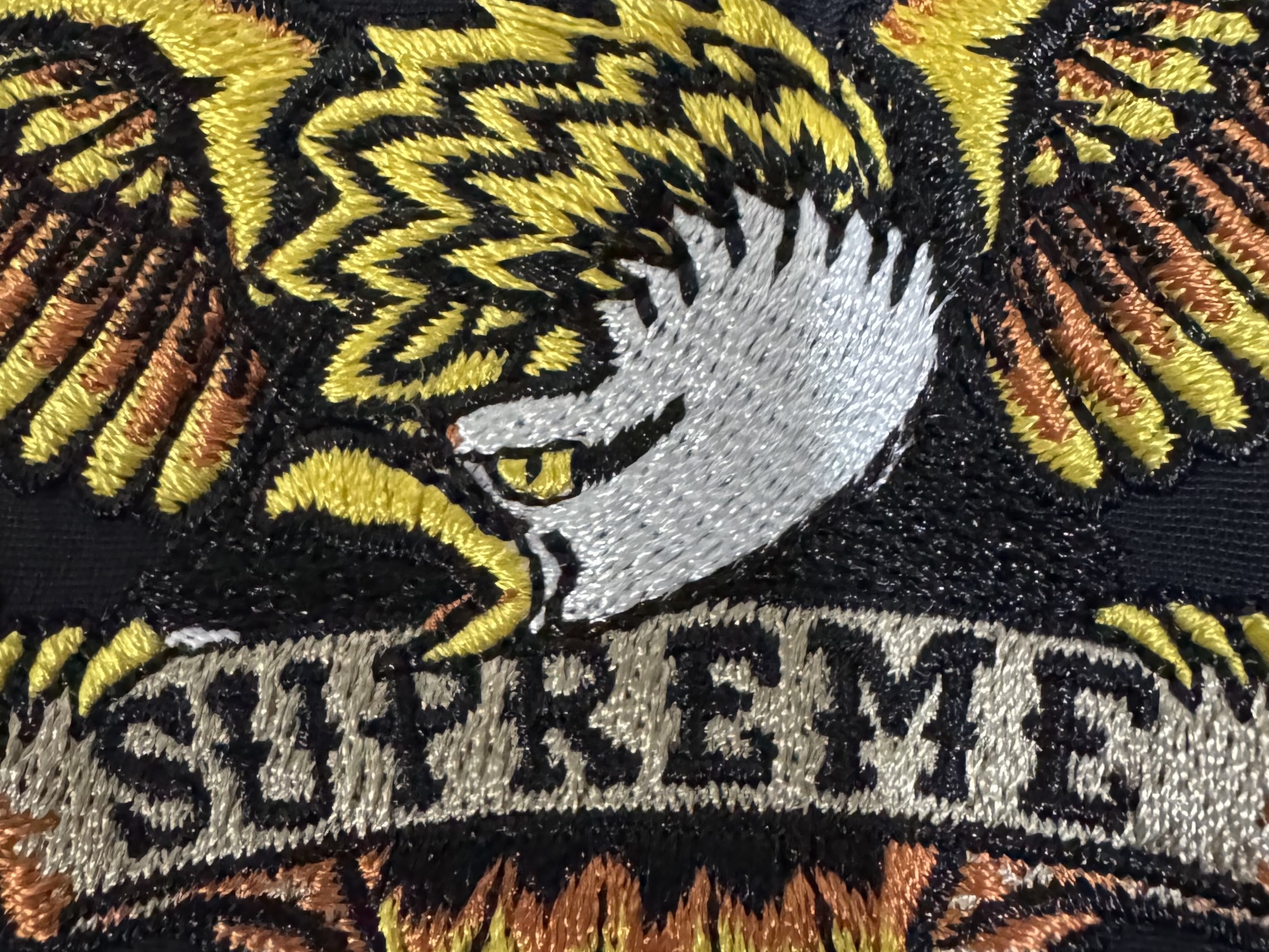 Supreme Antihero Stadium Jacket Black - 25FW 착용 스타일 - 1
