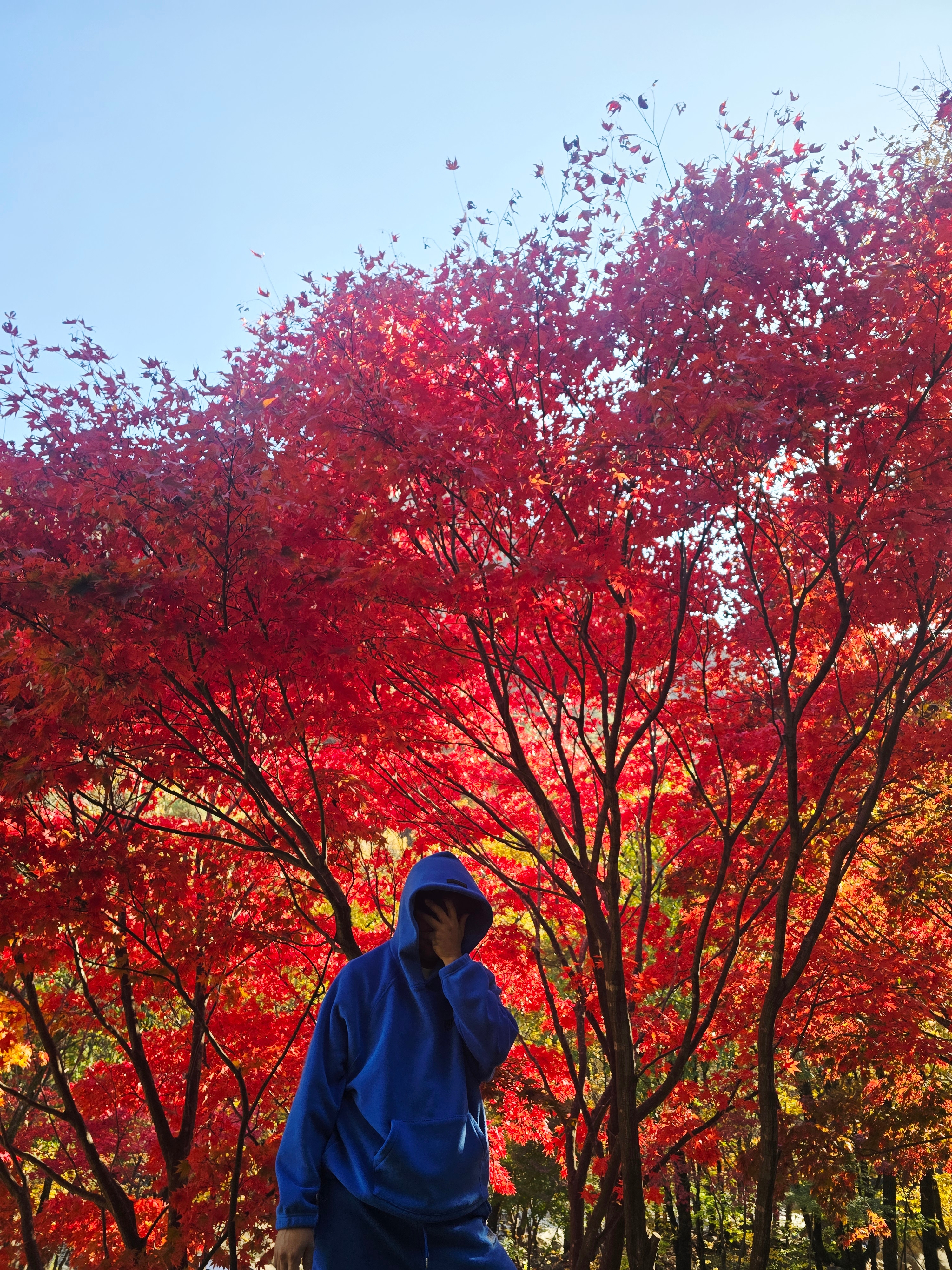 [KREAM 단독] runwhither Running Club Fleece Hoodie Blue 착용 스타일