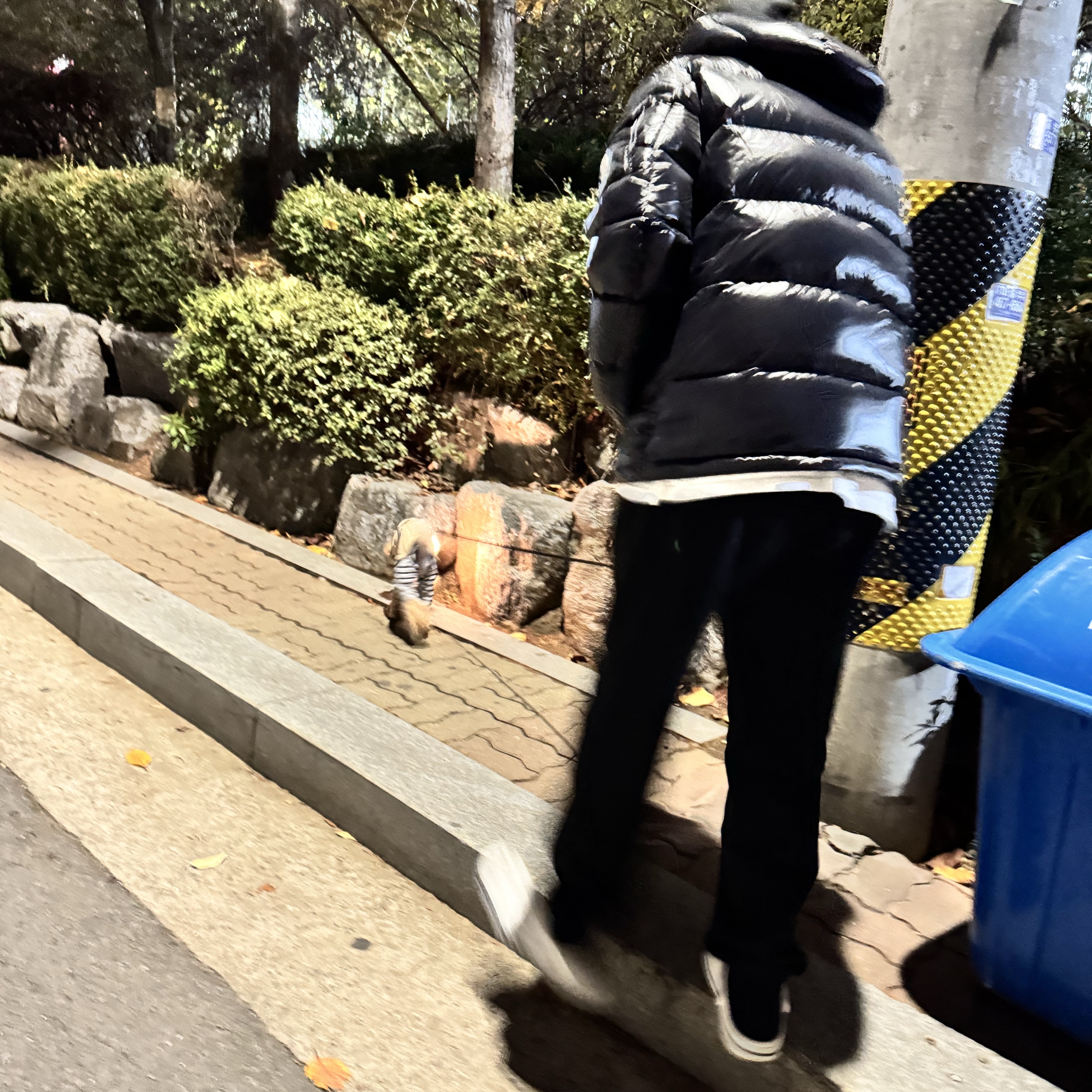 C.P. Company The Metropolis Series Pertex Hooded Vest Black - 24FW, Stussy Stock Seoul T-Shirt White 착용 스타일 - 6